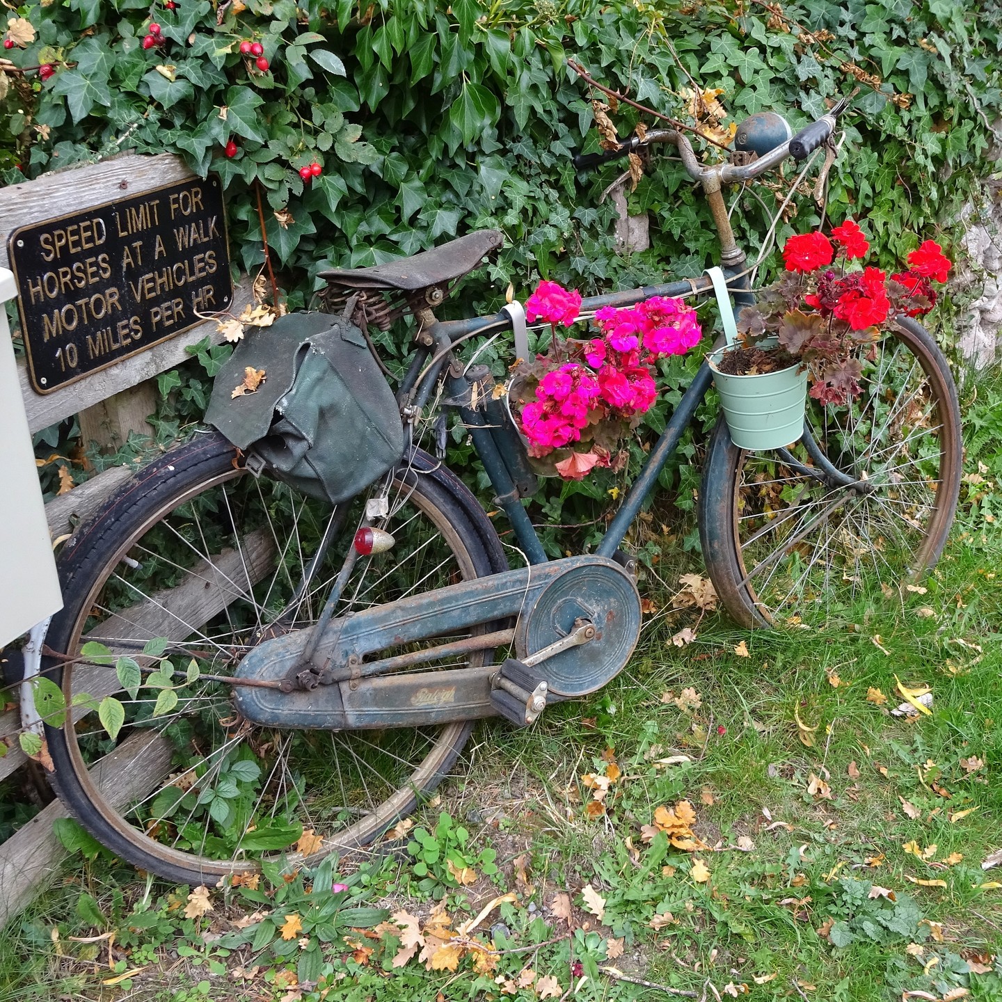I had to post this. I love coming across old bikes, full of flowers. This is not the first, whilst I'm out cycling myself. I ask, why do people adorn old bikes like this? Perhaps it harps back to another time that was, without doubt, slower and so therefore perceived as more peaceful. Whatever the reason, they capture my attention and make me smile at the simple beauty in my midst. #oldbike #vintagebike #cycling #bikeriding #countryside #countrysidelife #herefordshire #flowers #bucketflowers #beautifulbikes #custombycycle