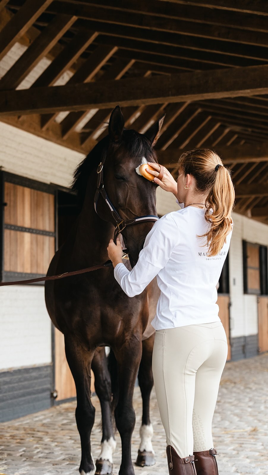 ✨Van de eerste sprong tot foutloze parcours, wij helpen jouw droom waarmaken!✨
#mbequitalents #horsebackriding #horsebackridinglessons #dressage #jumping #jumpingdressage #horsereflectedcoach #horsereflectedcoaching #paardrijden #paardrijlessen #coachingmetpaarden #kindercoach #kindercoaching