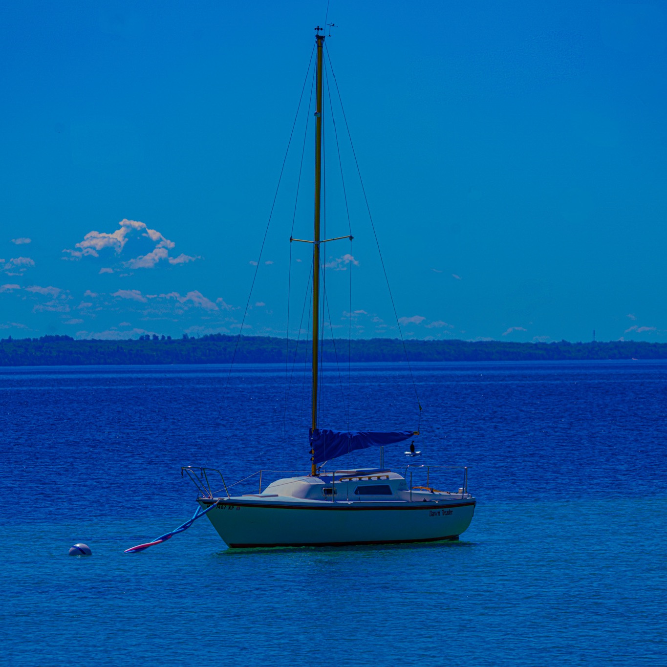 🌊 Pure Michigan or the Caribbean? 🌴
It’s hard to tell when you’re in Traverse City, where crystal-clear waters and endless blue horizons create a view straight out of paradise. This shot captures the calm, tropical-like beauty that makes Michigan’s shoreline so unforgettable.
📍Traverse City, MI
📸 by Timeless Photography
✨ “Frame the Moment, Live the Memory.”
#TraverseCity #PureMichigan #LakeMichiganVibes #TimelessPhotography #MichiganPhotographer #CaribbeanOfTheMidwest #TravelMichigan #NaturePhotography #BlueWaterViews #GreatLakesBeauty #TimelessCreativeSolutions