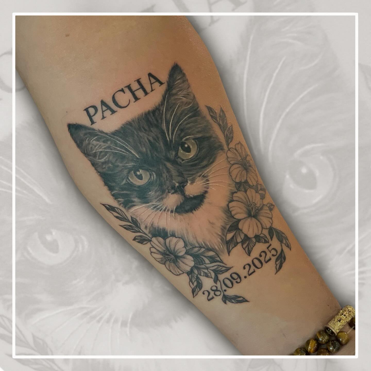 CAT - बिल्ली - CHAT - NGERU - PUSA - KATT - GATO
🐈⬛ 🐈
DM or Email for all enquiries and bookings
inkingtattoos@gmail.com
#cat #cats_of_instagram #cats #cattattoo #cattattoos #tattoocat #felinetattoo #catslovers #inmemory #memorialtattoo #animalportraits #animaltattoo #animaltattoos #catmodel #catinstagram #sydney #sydneytattoos #sydneytattooartist #sydneytattoo #sydneytattooist #sydneytattooartists #catartist #sydneytattooing #tattoosydney #sydneyink #inkedsydney #sydneytattooshop