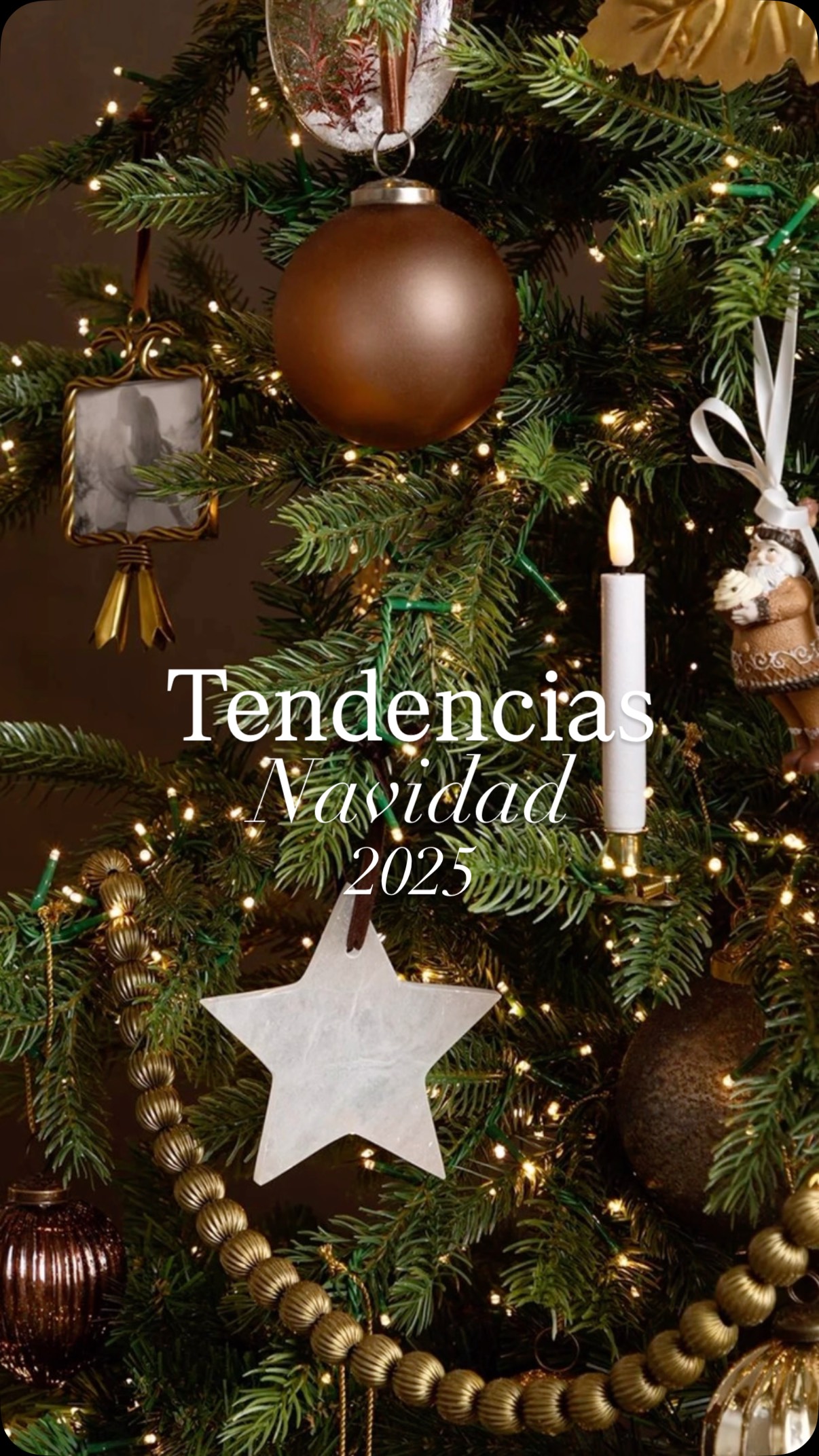 Estas son mis 3 tendencias favoritas para tu árbol de Navidad este 2025 🎄
1️⃣ Ralph Lauren
2️⃣ Natural
3️⃣ Bronze Glam
¿Cuéntame cuál es tu favorita? 👀
#navidad2025 #tendenciasnavidad2025
