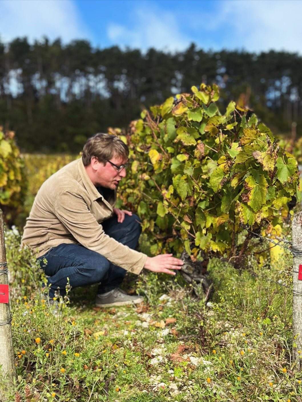 🍷 Les Vins Gourmands font leur rentrée bourguignonne !
Guillaume (Lens) et Tony (Lille) sont partis il y a deux semaines au cœur de la Bourgogne.
Résultat : plus de 55 nouvelles références sélectionnées avec soin, bientôt disponibles dans nos trois caves 🍇
👉 En attendant de les découvrir en boutique, on vous partage quelques images de leur semaine de repérage au cœur des vignobles.
#bourgogne #lesvinsgourmands