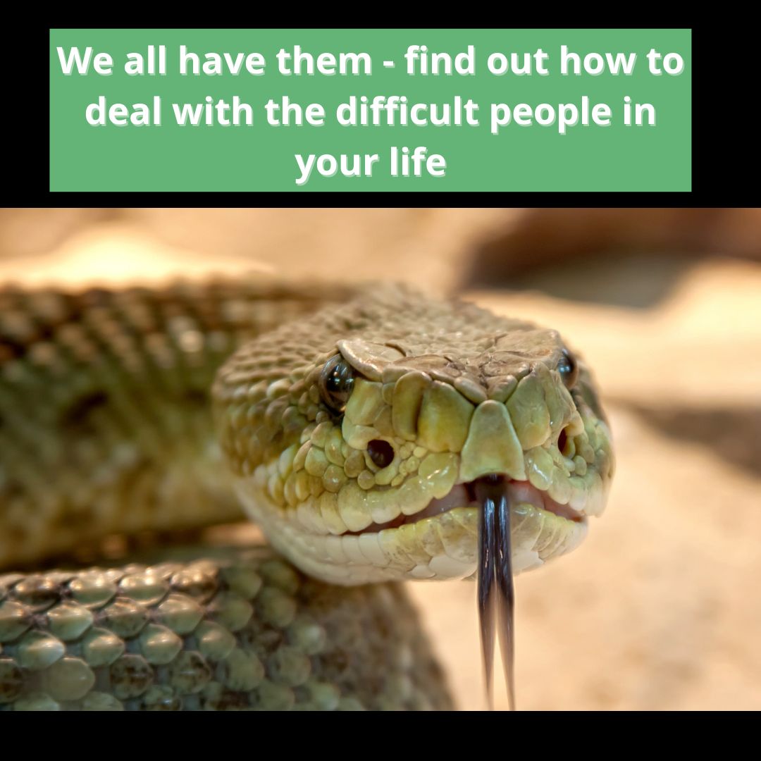 Do you have someone in your life that drives you crazy?
Sometimes, no matter how guarded we are, or how much we try, we end up with people in our lives that are just toxic. They make you second guess yourself, feel bad about yourself and who you are. They manipulate you into doing things you don’t want or wouldn’t usually do, they blame you for everything, even when they are in the wrong and they never apologise. Unfortunately we can’t always guarantee that the people we invite into our lives will end up being as nice as they start out, and that isn’t our fault. We can’t blame ourselves for the actions, thoughts of opinions of others we can only control what we do.
If you have someone in your life like this it may be time to make some changes and yes that might be difficult but you can get support. Head to my Facebook or LinkedIn to see the article I just posted which will help identify the toxic traits of others and help you find a way to deal with them in a way that helps you x Jo Link in my profile 😊
.
.
.
.
#toxicpeople
#toxicrelationships
#negativepeople
#negativerelationships
#bedfriends
#selflovejourney
#onlinerelationshipcoach
#changemanagement
#bethechangeyouwanttoseeintheworld
#nonviolentcommunication
#relationshipsupport
#counselling
#couplescounsellor
#relationshipcoaching
#perspectiviveshift
#coachingforsuccess
#coupleharmony
#talkingworks
#marraigecounselling
#relationshipbliss
#positiveaction
#relationshipsmatter
#relationshipquotes
#improvecommunication
#marriagecoaching
#helpforwomen
#changestartsnow
#emotionalintelligence
#talk