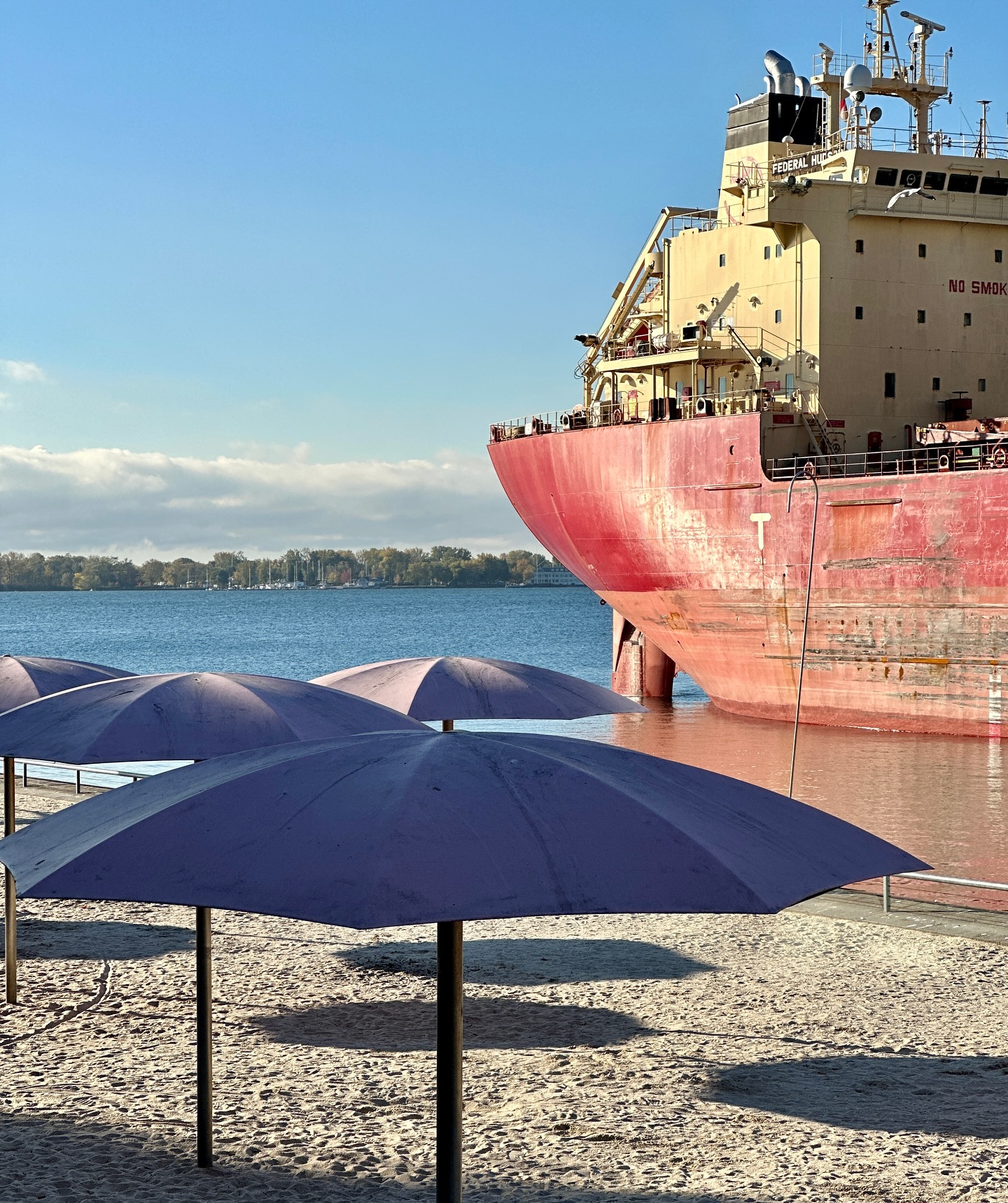 🍁Sweet and salty Toronto moments 🍁
The cotton-candy umbrellas at Sugar Beach are glowing against a backdrop of gold and crimson leaves - while a massive ship unloads raw sugar at the Redpath refinery next door. It’s that perfect Toronto contrast: industrial meets idyllic, harbour meets harvest.
Enjoy your coffee, watch the cranes dance and soak up a sweet view in the city.
#SugarBeach #Redpath #TorontoHarbour #AutumnLeaves #PedalToronto #SweetToronto #BikeTO #UrbanWaterfront #FallVibes #WaterfrontTrail #BikeTours #DestinationToronto