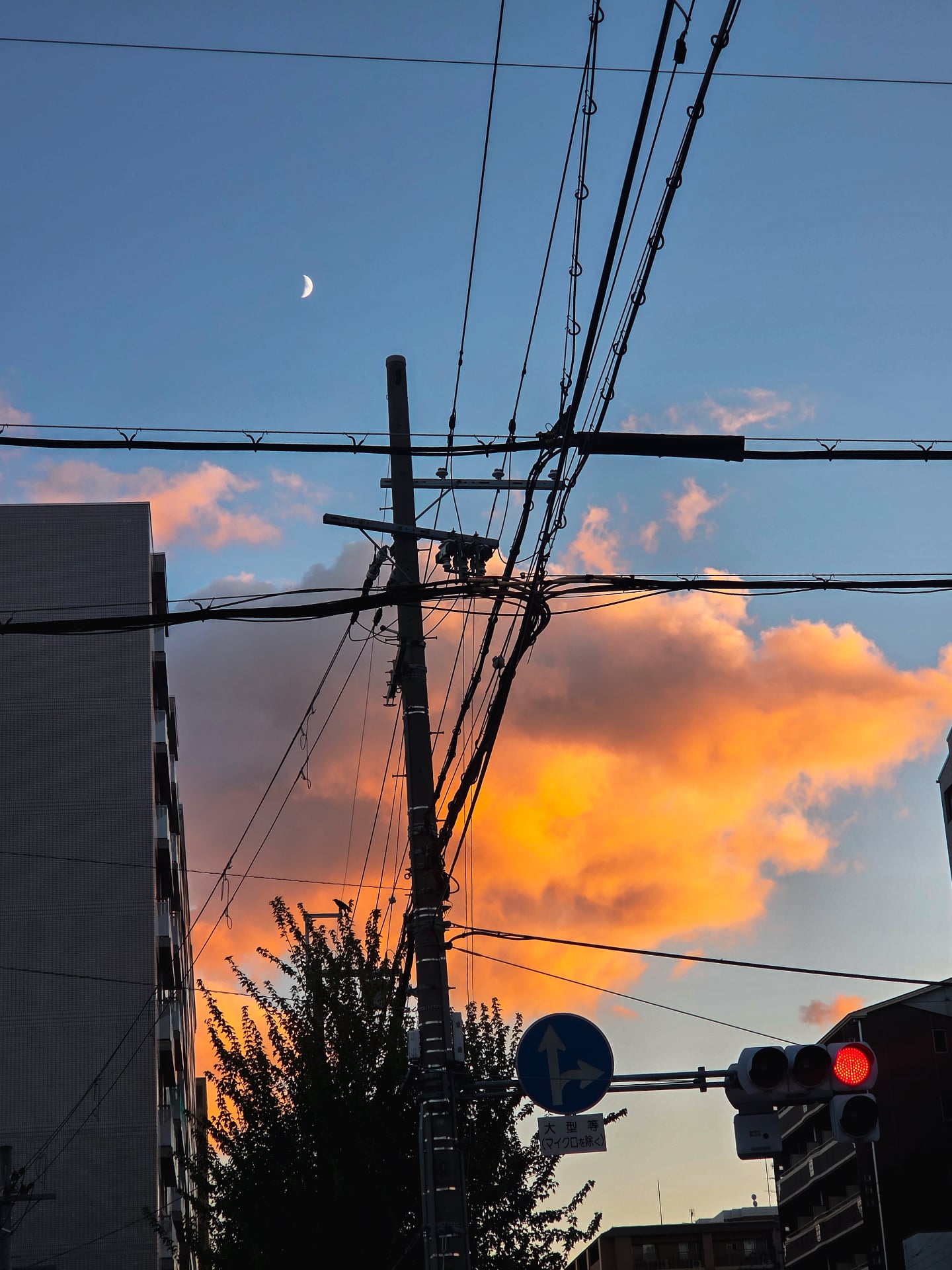 I love pretty sky's. Now Japan is cooling down more beautiful sky's will appear