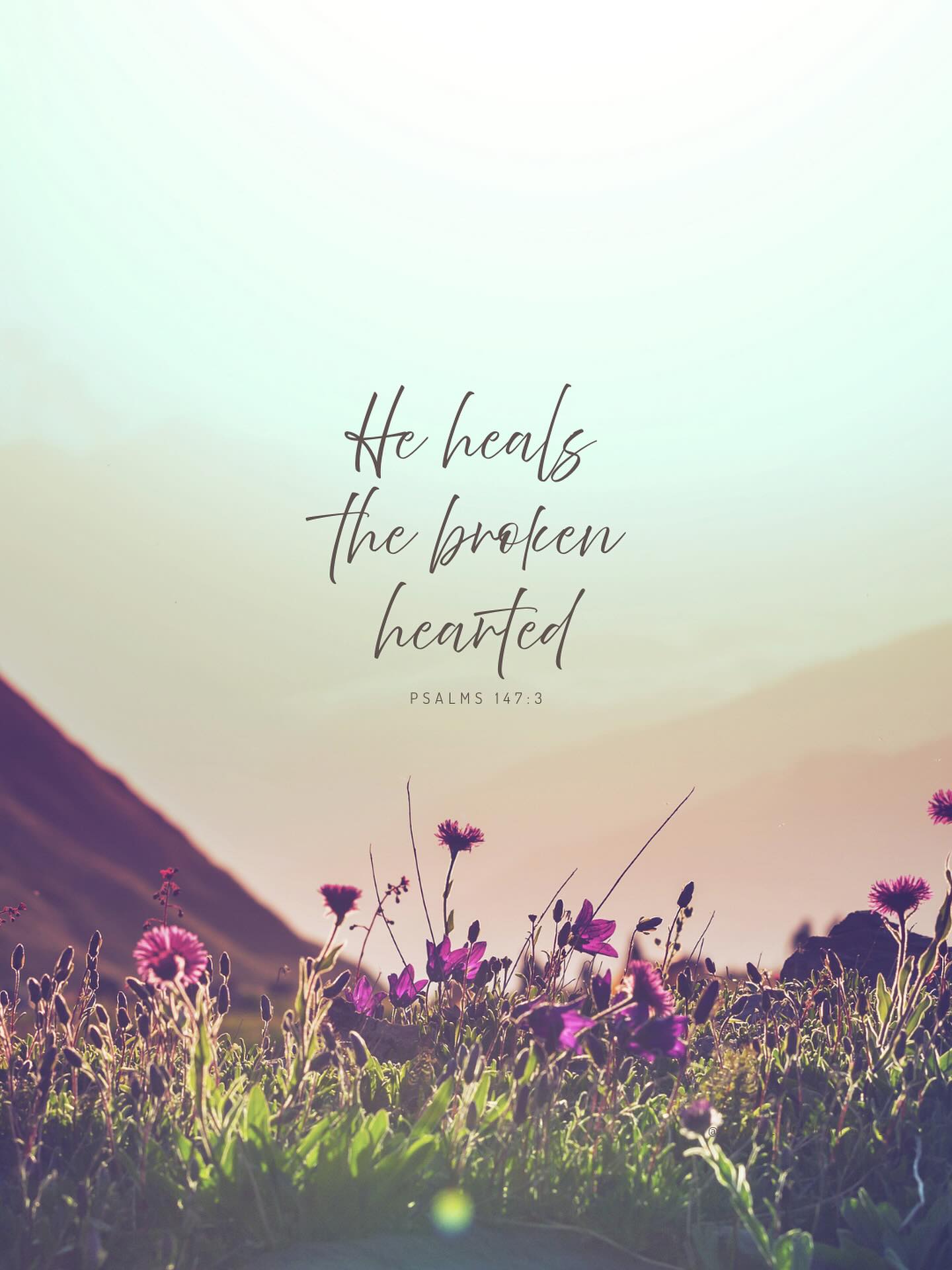 🌿From Jen’s Heart
“He heals the brokenhearted and binds up their wounds.” — Psalm 147:3
There’s a deep kind of peace that comes when we choose to trust Jesus — not because everything makes sense, but because we know He does.
When our hearts ache and we can’t see the full picture, He’s already at work — gently binding what’s torn, mending what’s unseen, and restoring what feels lost. Healing isn’t about perfection; it’s about trust.
So today, whisper this simple prayer:
“Jesus, I trust You — even here.”
Trust that He’s holding the pieces you can’t fix. Trust that His timing is kind. Trust that He is faithful to finish what He began. 💛
Because when we place our broken hearts in His hands, He turns them into something beautiful — something whole again.
#AlabasterHeart #BeautyFromBrokenness #Psalm1473 #TrustJesus #HeHealsTheBrokenhearted #FaithOverFear #HopeInHim #HealingInChrist