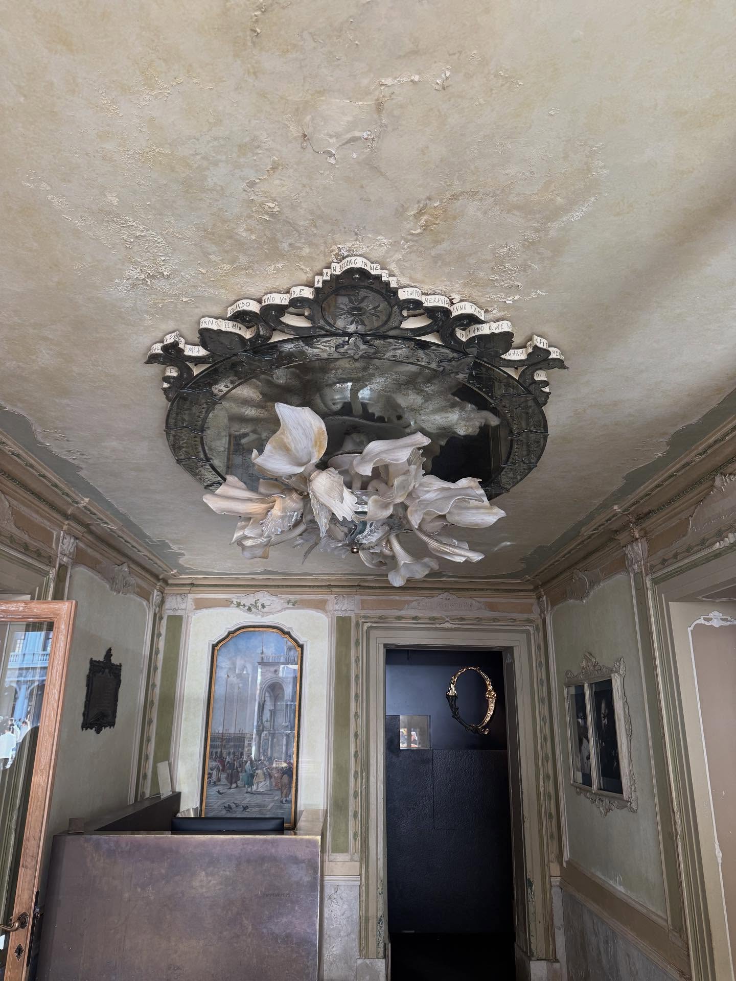 Royal excursion 🥁🥇 accompanying these full #ironman #ironmancroatia703 @giorgiopiccoli age 41 and @troitsky.a.a age 33 w/ full iron woman @lnesquaresma @ironman70.3croatia