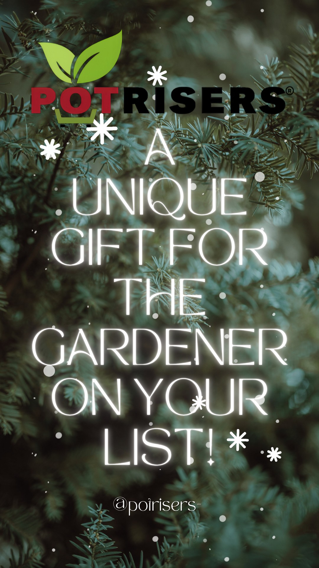 🎁✨ The perfect gift for the gardener on your holiday list!
Skip the gloves this year — give them something unique, practical, and guaranteed to last.
🌿 Potrisers: the small lift that makes a big difference!
✅ Improve drainage
✅ Protect pots & plants
✅ Keep surfaces clean
✅ Discreet, durable & eco-friendly — made from recycled materials
✅ An affordable gift with big returns in the garden
The #1 choice of container gardeners & professionals 🌎💚
Give a gift that keeps on giving — year after year.
Find us in your local garden center and nursery or shop online-
🌿 Link in bio
#Potrisers #GardenGifts #GardeningMadeEasy #EcoFriendlyGift #HolidayGiftGuide #GardenEssentials #SmallLiftBigDifference #November #wintercontainers #containergarden #potfeet #containergardening #seasonalplanters #stockingstuffer