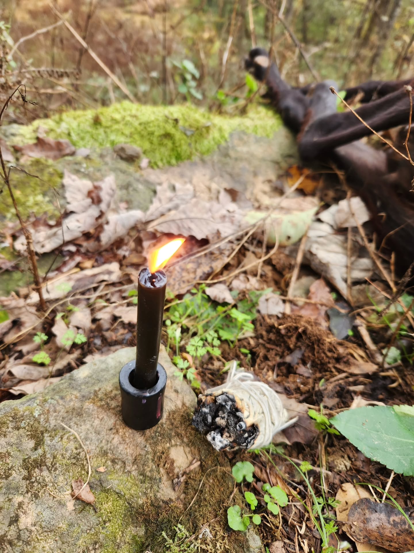 🥀💀This morning came with the very heavy weight of loss. A freak accident happened on my farm, and I had to say goodbye to one of my pet goats💀🥀
Of all days for the universe to take her back home, it happened to be the day of my signing at @strangebrewoccultshop for Bleached Reminders. I can't ever claim to know why things like this happen the way they do or if there's ever true reason behind it. But Bleached Reminders is a little collection I wrote to honor my deceased pets and to somehow find a way to better carry the burden of grief I have for them in my heart.
It seems fitting then that these things should come to pass together, as if a small reminder of what Bleached Reminders was written for and all the ways I hope it may help others in their grief.
While my heart may be heavy today, and this certainly wasn't what I had planned, I'm still looking forward to my event and being surrounded by others who treasure their pets as much as I.
Thank you @strangebrewoccultshop for hosting today's event and providing such a beautiful location and set up. I hope to see you all there 🖤
💀🥀
#animalgrief
#animalloss #petdeath #pets #animals #grief #loss #bleachedreminders #witchy #bookevent #bookstagram #strangebrew #localstore #supportsmallbusiness #booksigning #bonesandbooks #ilovereading #poetry #shortstories #shortstorycollection