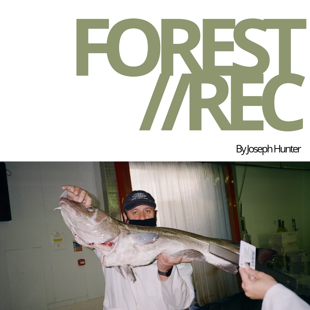 ‘And I see their faces so strange and brother-like and hyped and I feel far away from them like the first time I ever smoked a zoot but it’s not good, I feel like I’m on Forest Rec in the big open ground in the wind alone.’
Read Joseph Hunter’s FOREST REC in the second issue of glut, publishing today.
Joseph Hunter is a fiction writer and poet whose work has appeared (or is forthcoming) with Fairlight Books, Merion West, The Rumen, The Alchemy Spoon, New Feathers Anthology, the Brussels Review, and others. He teaches at the University of Manchester, where he is completing a PhD.