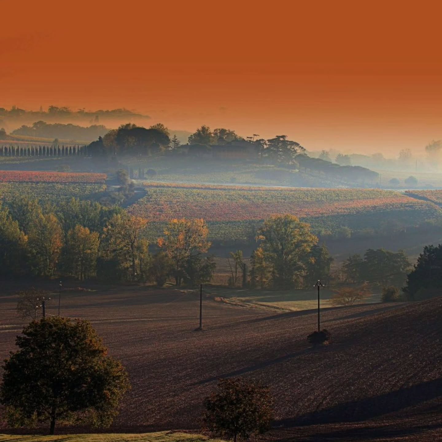 Quelque chose d’exceptionnel se prépare.
Le temps fait une pause… l’attente en vaut la peine. ⏳
Campagne néracaise, là où tout commence ♥️
Crédit photo @albrettourisme
#ComingSoon #momentdexception #ProduitLocal #BonEtBio