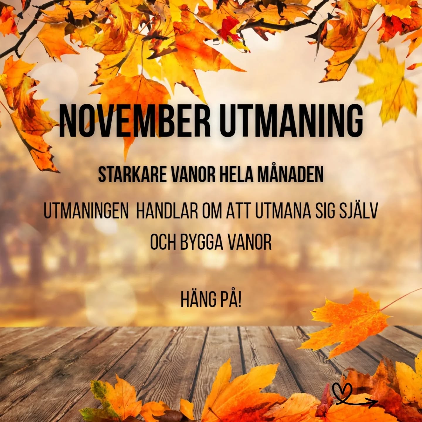 Fyra övningar är allt ni behöver göra denna utmaning!
För varje dag som går ska du göra alla övningar och öka med två repetitioner för varje dag som går.
Detta måste vara slutfört innan dagens slut och det kan utföras i två omgångar men det är ju för lätt, eller hur? Så gör allt på en omgång.
Dag 1: 12 Armhävningar, 12 knäböj, 12 utfall och 2 dips
Dag 2: 14 Armhävningar, 14 knäböj, 14 utfall och 4 dips
Ser ni mönstret? Inte svårare än så 🤘
Är du modig och stark nog att anta utmaningen?
Nej trodde väl inte det heller... Eller? 🤔🤪
Kör hårt!
#novemberutmaningen
#träningsverketdanderyd
#challengeyourself
#starkareänigår
#utmaning
#gym