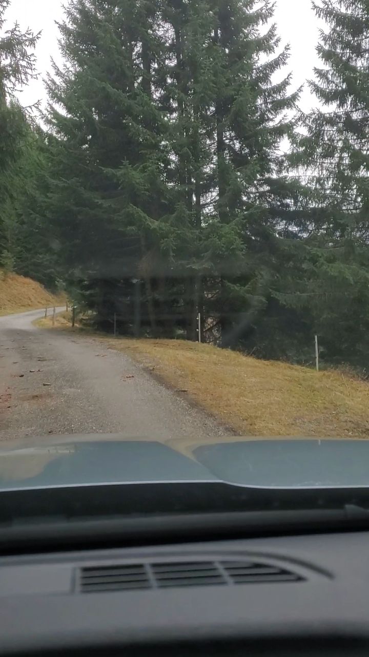 mal S C H N E L L ins Fondei🚙
Wir haben mehr als die Hälfte der LN (Landwirtschaftlichen Nutzfläche) im Fondei, da machen wir zwischen Mai und November viele Kilometer auf dieser Strecke.
Heute etwas schneller😉
#langwies #biohof_rofel #schanfigg #fondei #bauernhofleben #regionplessur #schnellgemacht