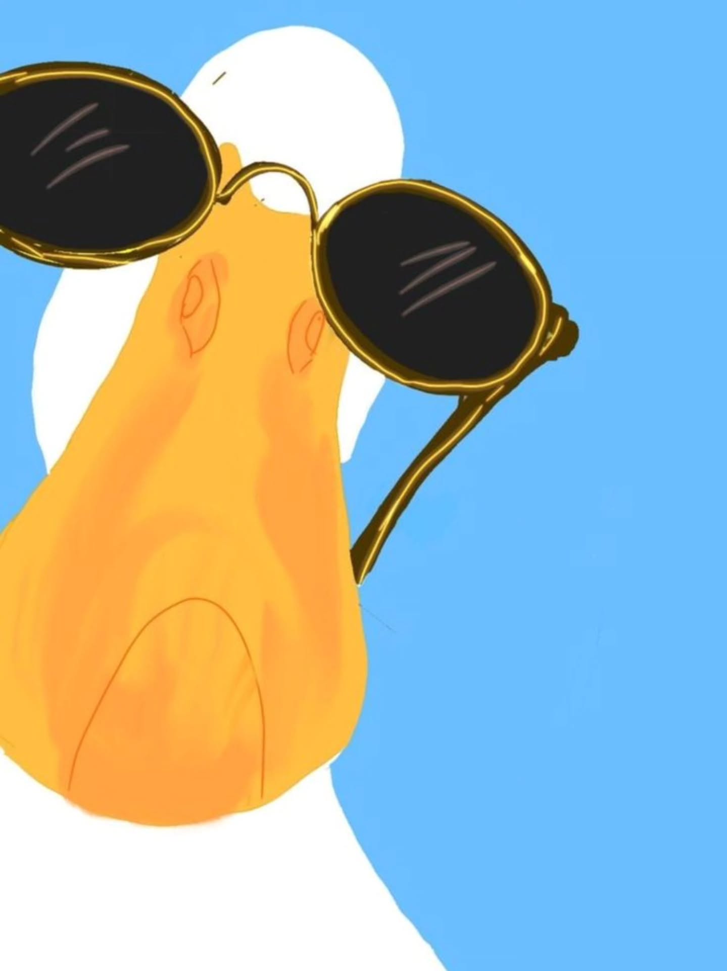 Schwimmst du schon - oder glotzt du noch?“ 🦆🕶️
#schwimmschulecoco
#schimmunterricht
#foreveryone❤️
#justkeeswimming🐟