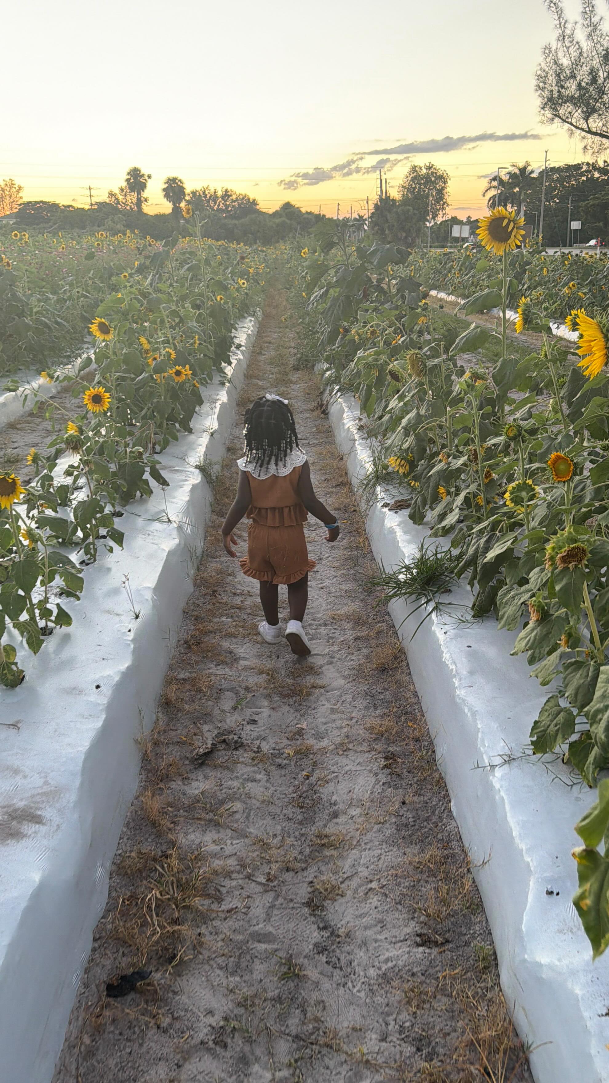 She’s growing so fast, but in moments like this time stands still. These are the days I’ll hold onto forever. 🌻✨#ZaiaDream #FallFestival