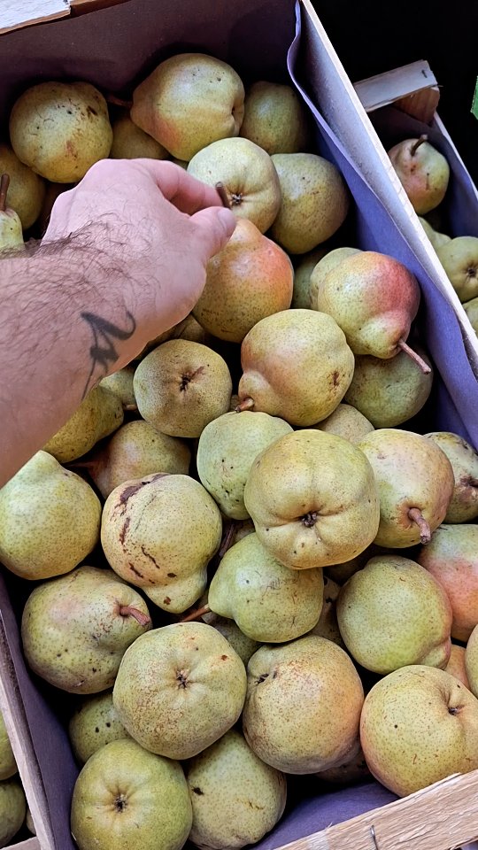 En préparation la
Cœur de Poire 🍐
.
Une exclusive Atelier-boutique.
Disponibles des samedi 1er Novembre.
.
.
.
.
.
#Benedetto #benedettoconfituresatypiques #confitureartisanale #coeurdefruits #jam #jaminparis #jamlove #life #lifestyle #food #foodblogger #foodlover #bio #français #atelier #recette #epicerie #epiceriefine #glocery #paris #montmartre