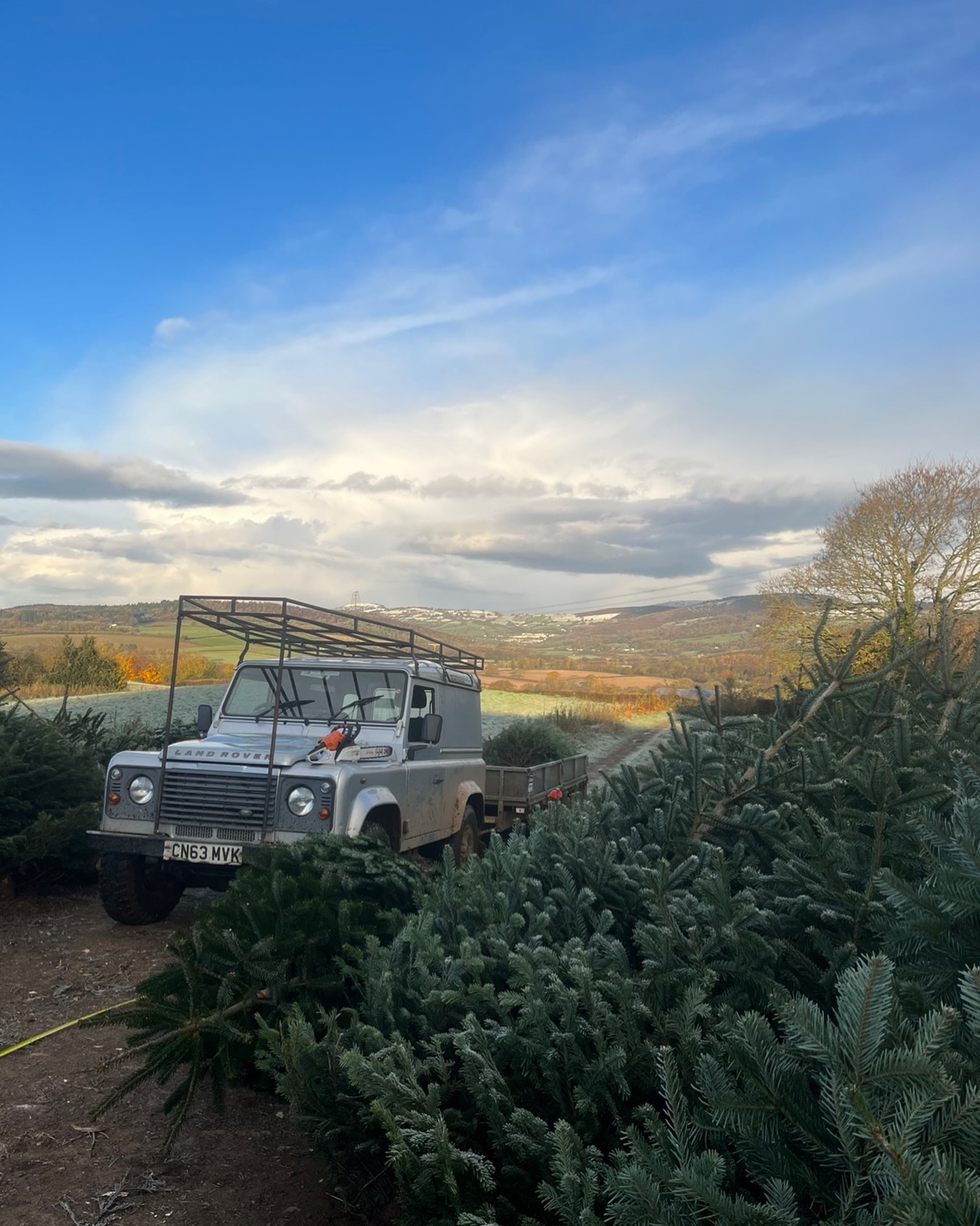 *Photo from 2024* With Halloween coming to an abrupt end at Clearwell 🎃…. We have now released our tickets for our “you choose, we cut”🎄…. Don’t miss out on our brand new Christmas Village! Pick your own trees and live music every Friday, Saturday and Sunday! This year will be better than ever, tickets found at www.clearwellfarm.co.uk 🎄🎄🎄🎄
