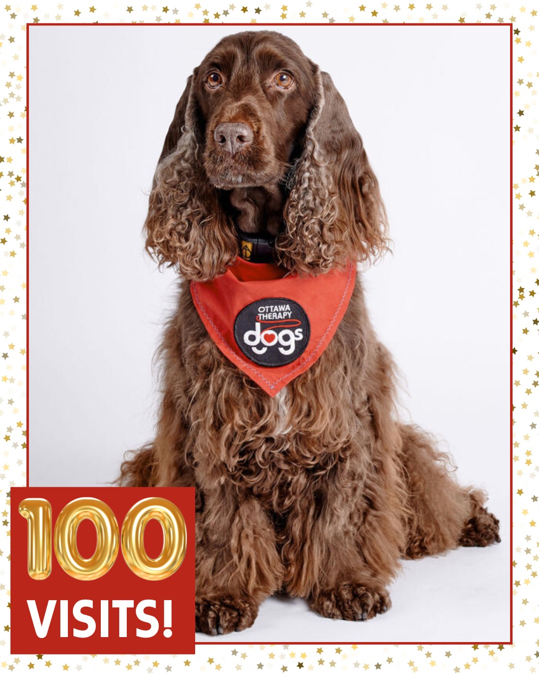 Congratulations to Artemis on celebrating her 100th visit as a volunteer with Ottawa Therapy Dogs! We are so grateful to her and Rebecca—her dedicated handler—for spreading so much joy throughout our community! Artemis currently provides visits through our Reading Education Assistance Dogs® (R.E.A.D.) program, offering non-judgmental support to help advance children’s literacy. Thank you, Artemis and Rebecca!
