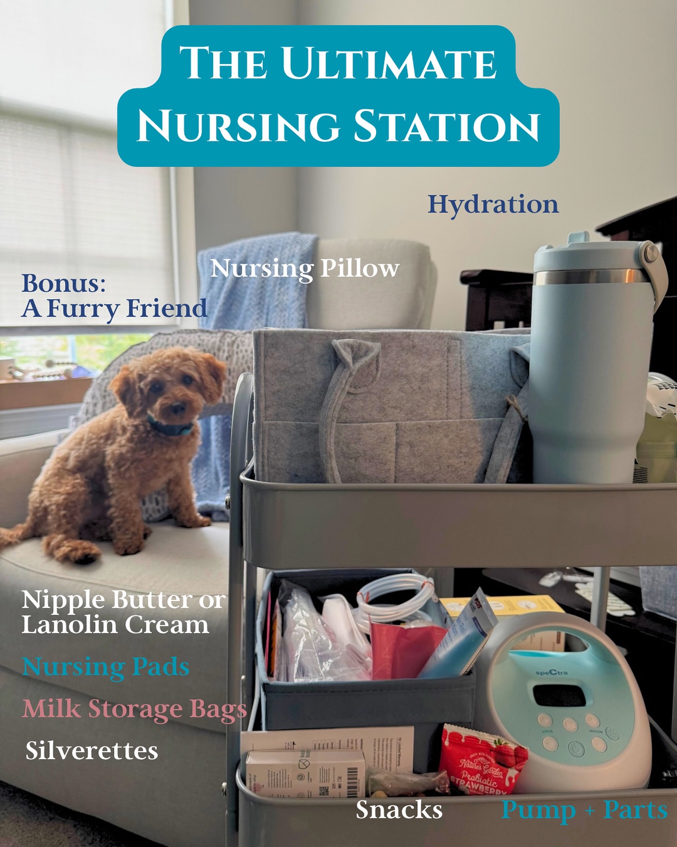 šāāļø New mama tip: Set up a dedicated nursing or pumping station āitās your little corner of calm during a whirlwind season. šæ
ā
When youāre juggling feeds, pump sessions, and sleepless nights, having everything within reach makes all the difference.
ā
š¼ Essentials to include:
- Hydration (youāll need more than you think!)
- Nipple butter or Silverettes
- Nursing pads + milk storage bags
- Pump + pump parts (@spectrababyusa @medela_us )
- Healthy snacks
- A cozy nursing pillow (like @Boppy or @MyBrestFriend)
- ā¦and maybe a furry friend for company š¶š(ft: @shirothecavapoo)
⨠Small setup, big impact for comfort, recovery, and peace of mind.
ā
#PostpartumCare #BreastfeedingJourney #NewMomTips #PelvicHealth #BlissPTandPilates