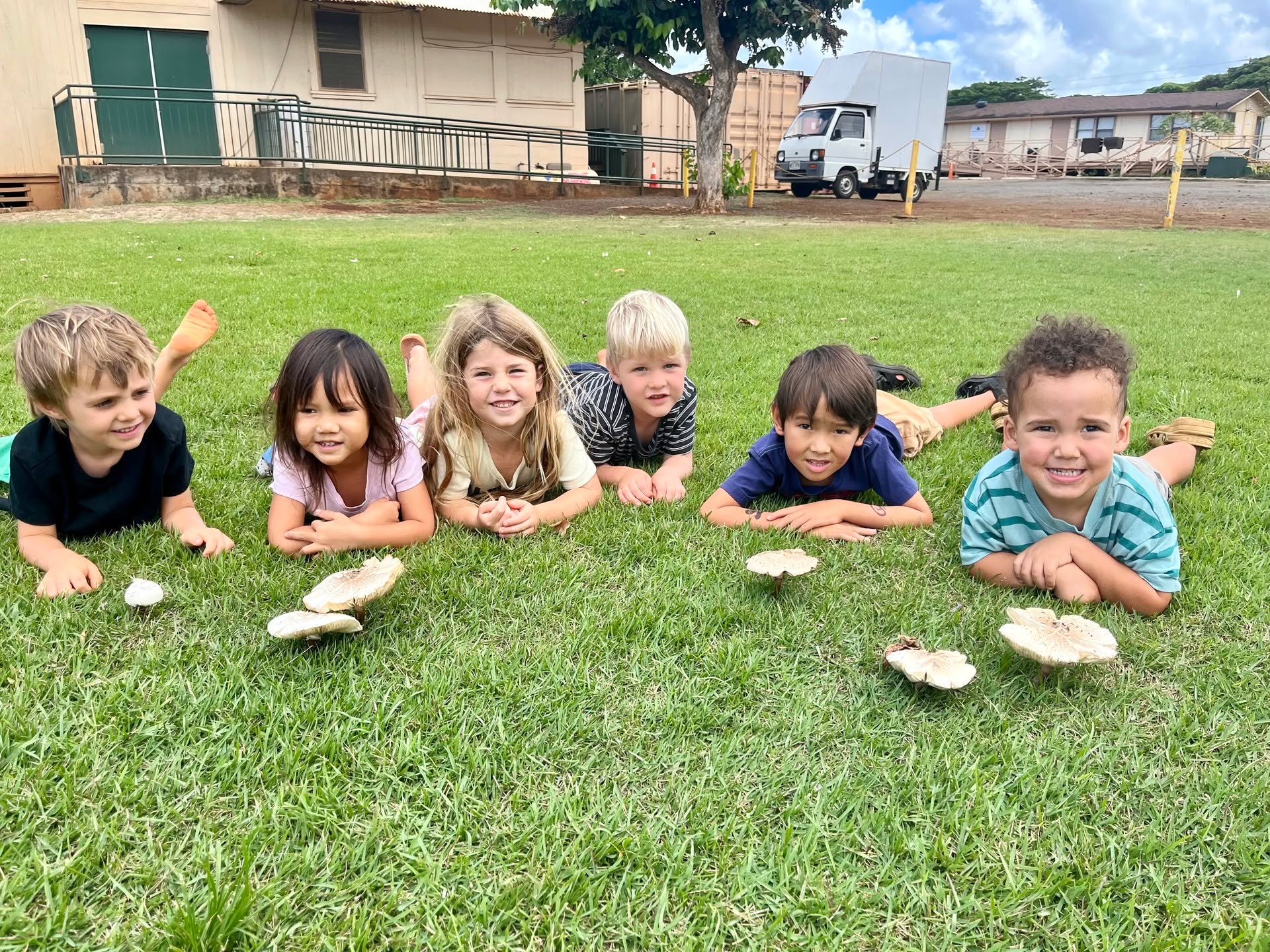 🍄 After the rains, the mushrooms arrived — small signs of connection, growth, and change.
We paused to look closely, to wonder, and to notice how everything is part of something bigger. 🌧️🌿
A place to wonder.
A place to grow.
A place to learn with aloha. 🌺
#KaHanaPono #NatureBasedPreschool #AlohaAina #NaturePlay #ChildhoodMagic #Ohana #NorthShore #HawaiiKeiki #Pā‘aniMeAloha #GrowingTogether