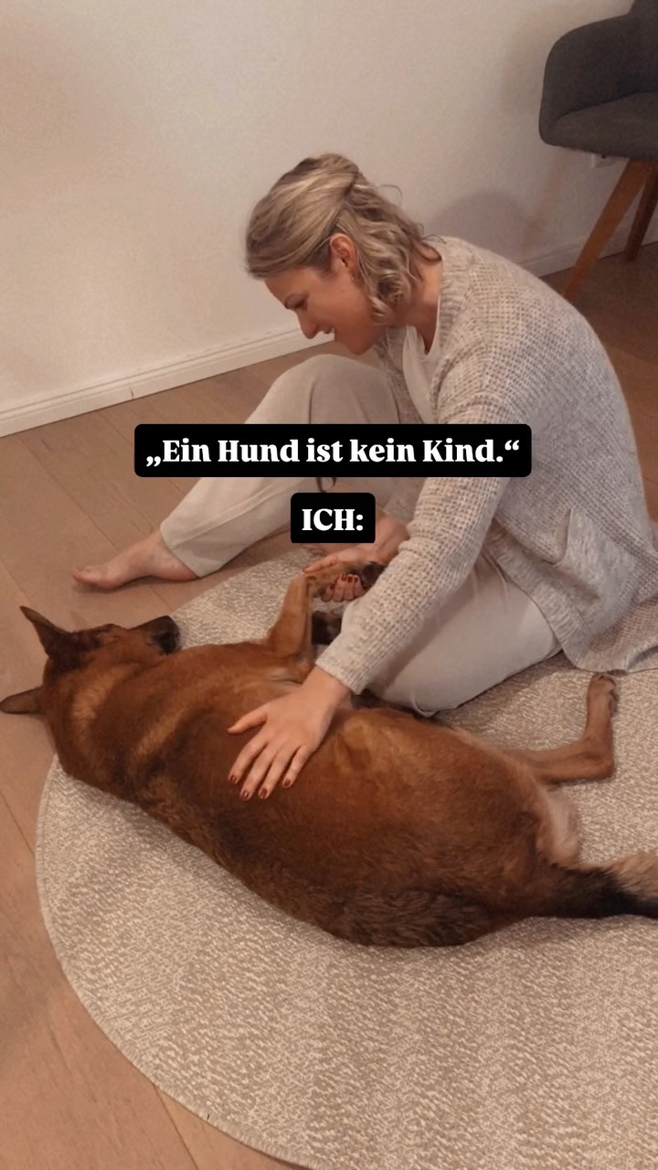 Jaja, ich weiß… Hunde sind keine Kinder.
Klar, er ist kein Mensch. Er wird niemals „Mama“ sagen, keine Matura machen und auch keine Pubertät (Gott sei Dank!) durchlaufen.
Aber er ist derjenige, der mir jeden Tag ein Lächeln ins Gesicht zaubert, meine Tränen kommentarlos wegschlabbert, der mir zeigt, was echte Loyalität bedeutet.
Er ist der, der meine Anwesenheit feiert & mich euphorischst begrüßt- selbst wenn ich nur 5 Minuten den Müll rausgebracht habe.
Er ist kein Kind, aber ein wichtiger Teil meiner Familie.
(M)ein Herz auf vier Pfoten.
#hund #hundevideos #dog #adogslife #funny #funnyreelsvideo #funnyvideos #gutenabendgutnacht #schlaflied #lullaby #vierbeiner #dogsofinstagram #hundemama #hundeliebe❤️🐾