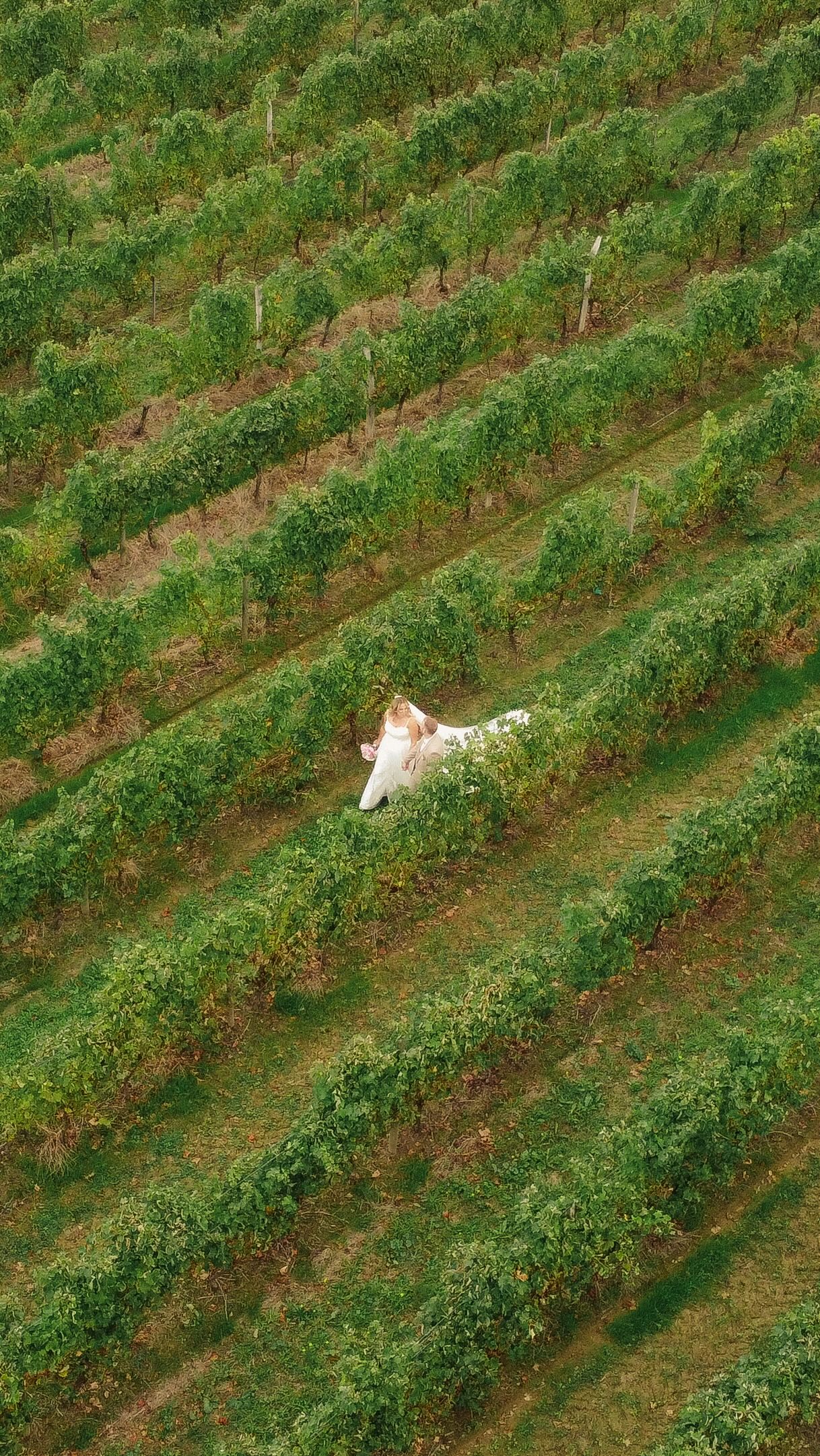 amoureux en france 🇫🇷❤️🔥✨
Venue: @agaillutgers
Photography: @groovyoctopusmedia
Videography: @groovyoctopusmedia
Wedding Planner: @greenlily_events
Hair: @hairstylist_annie
Makeup: @sarah_rees_mua
Catering: @farm_to_table_by_louisa
Saxophone: @lou_saxophone