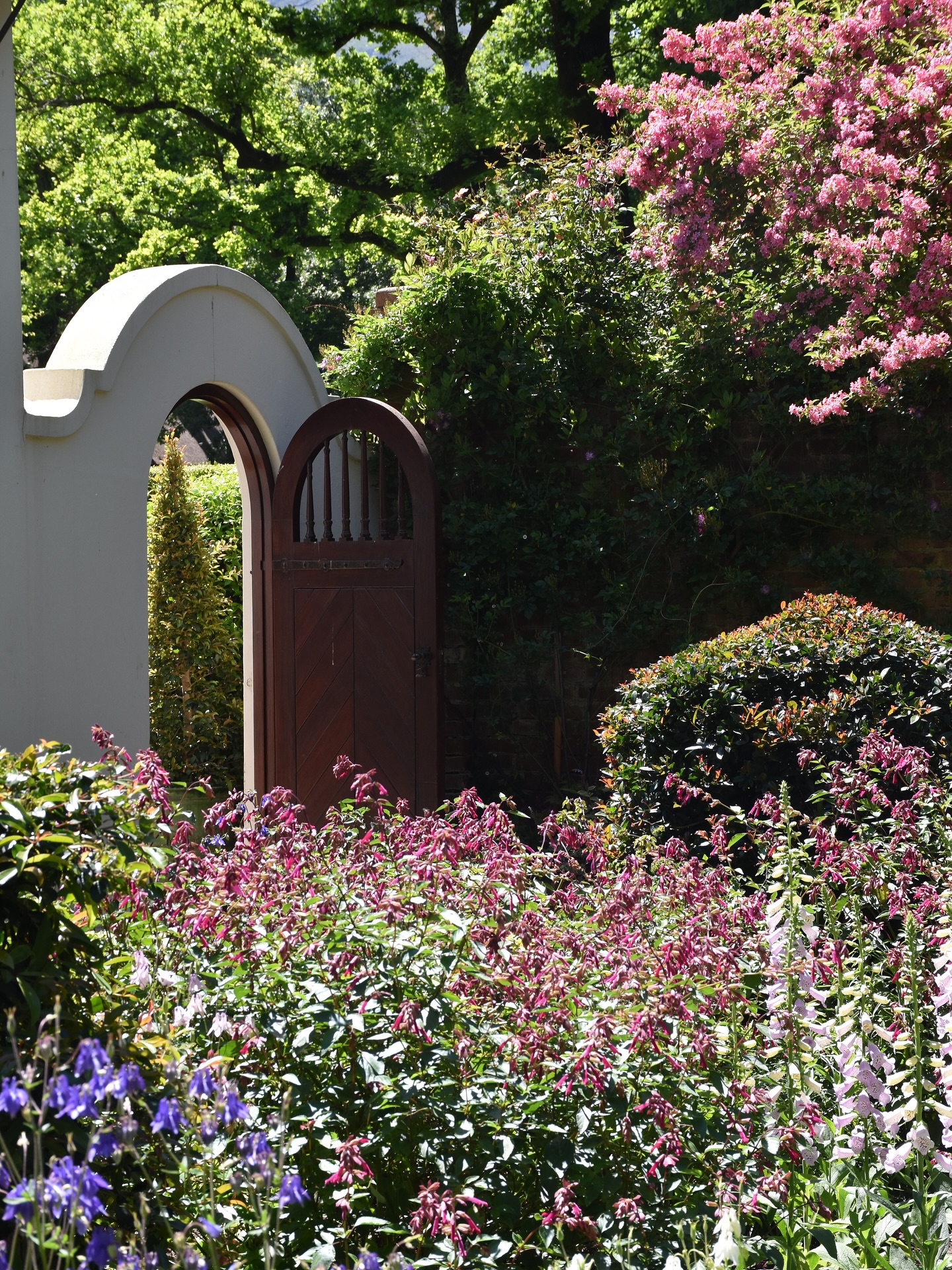 On my recent trip home I was lucky enough to spend a dreamy morning exploring the gardens at Rustenberg in Stellenbosch, nestled beneath the Simonsberg mountains. There are two gardens here: the public Schoongezicht and the private Rustenberg garden, both beautifully layered with history, structure, and that soft, relaxed English feel.
I met the wonderful @pietmandiener , who has tended these gardens for around 18 years. His warmth and knowledge are woven into every path and border, and anyone in the gardening community in South Africa or beyond knows Pietman and the magic he’s created here.
The estate dates back to 1682, and the gardens still carry echoes of the past, from the long historic pergola to a lily pond that was once a swimming pool. If you love plants, design, or simply beautiful places, this is one to add to your list.