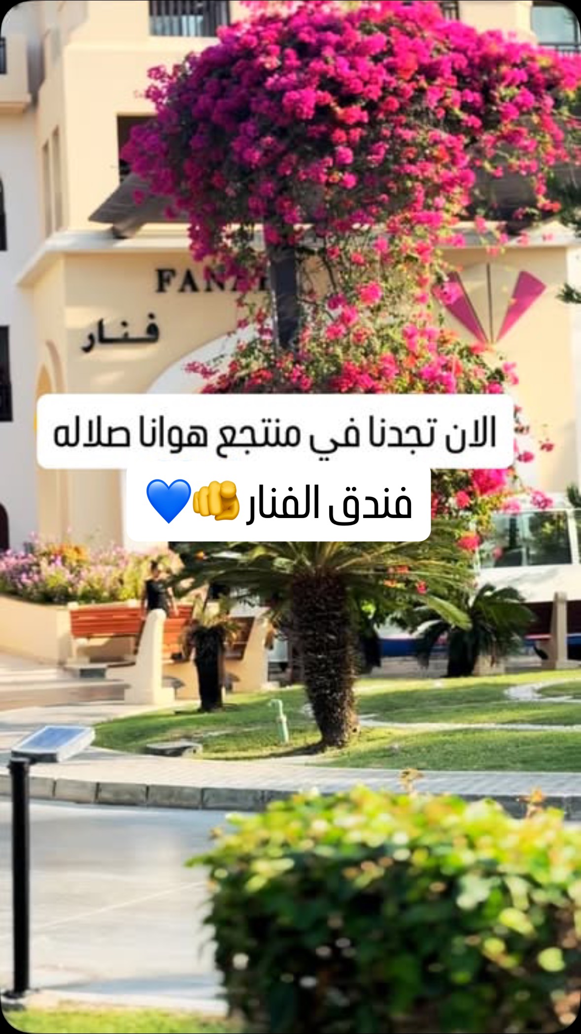  نحن في منتجع هوانا ✋🏼 بالتحديد في فندق الفنار
كنز من بحر سلطنة عمان 🇴🇲 يمدك بالقوة💪 😋 الصفيلح العماني
#صفيلح #اكسبلور_فولو #وجبات_بحرية #بحر