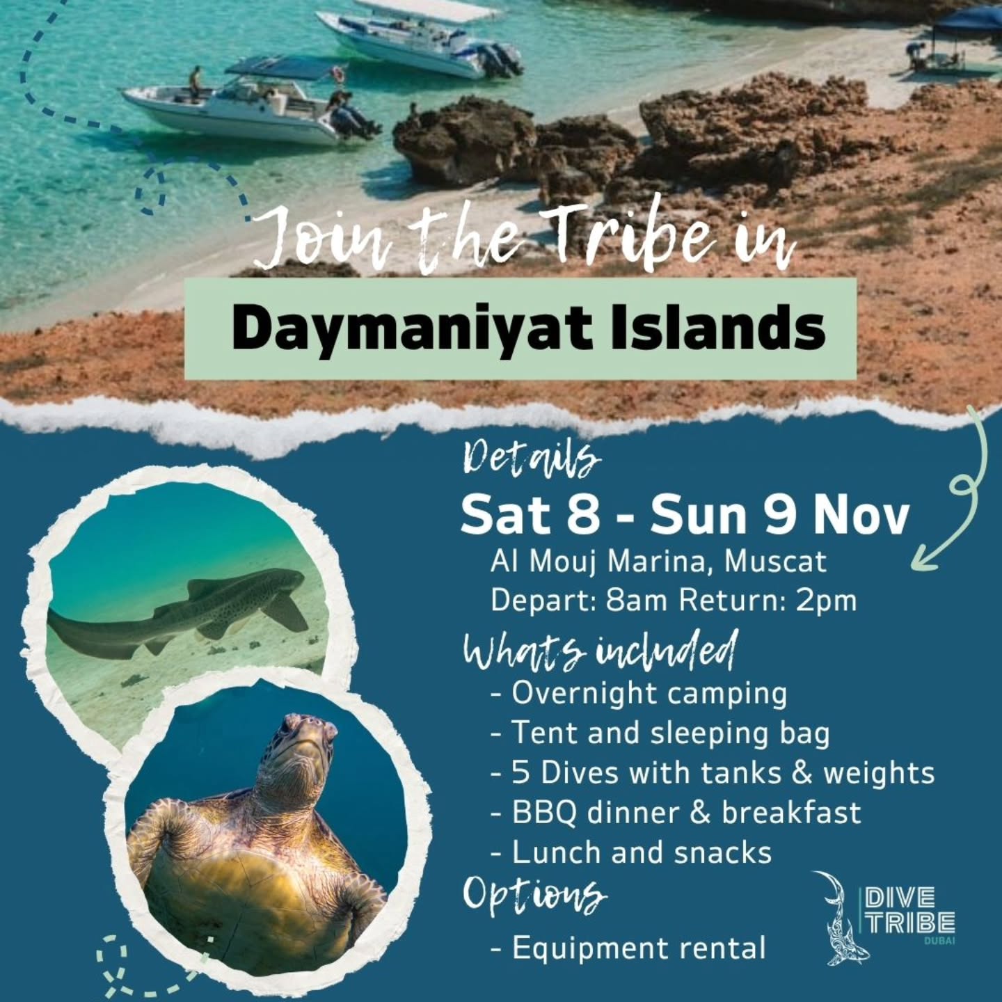 Join our Daymaniyat trip next weekend! Check the link in our bio to contact us or book on our website.