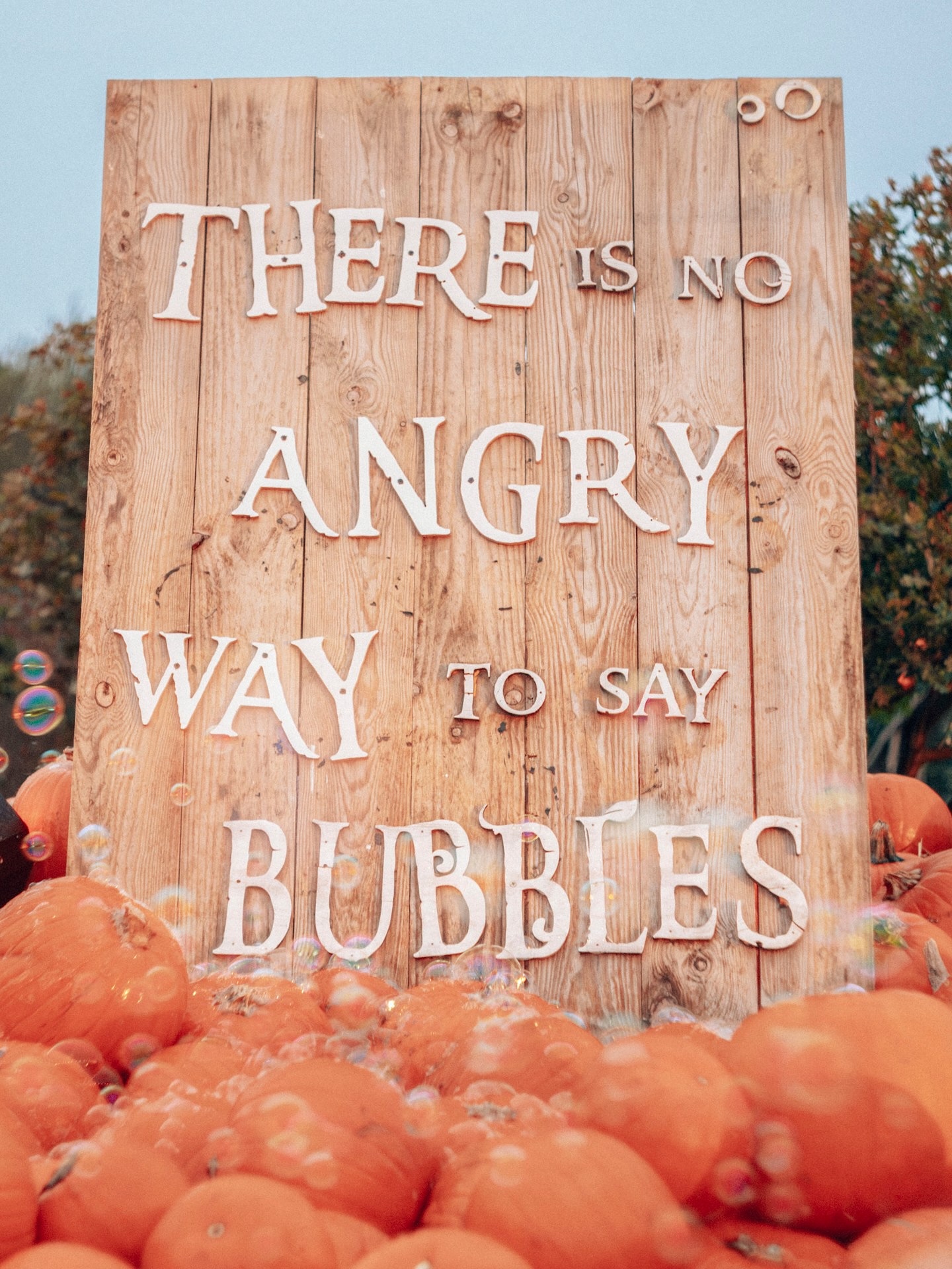 Spooky season vibes ๐๐ป
Had an amazing day with my family celebrating Halloween at the pumpkin patch in Hobbledown Heath! ๐๐ธ๏ธ The colours, the laughter, and those golden autumn tones made it a perfect day for photos.
As a photographer, I couldnโt resist capturing all the beautiful light, warm fall shades, and those little candid moments that make this time of year so special. ๐ธโจ
#HalloweenVibes #PumpkinPatch #HobbledownHeath #FamilyDayOut #AutumnPhotography #LondonPhotographer #FallColours #PumpkinSeason #LifestylePhotography #CandidMoments #FamilyPhotography #SpookySeason #PhotographerLife #UKPhotographer