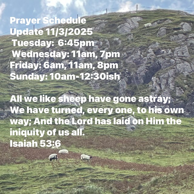 For updates and full schedule go to
www.lighthop.org
Lighthouse of Prayer
1011 N 26th St
Kalamazoo, MI 49048
Streaming link at www.lighthop.org
Not forsaking the assembling of ourselves together, as is the manner of some, but exhorting one another, and so much the more as you see the Day approaching. Hebrews 10:25
Brethren, pray for us.
1 Thessalonians 5:25