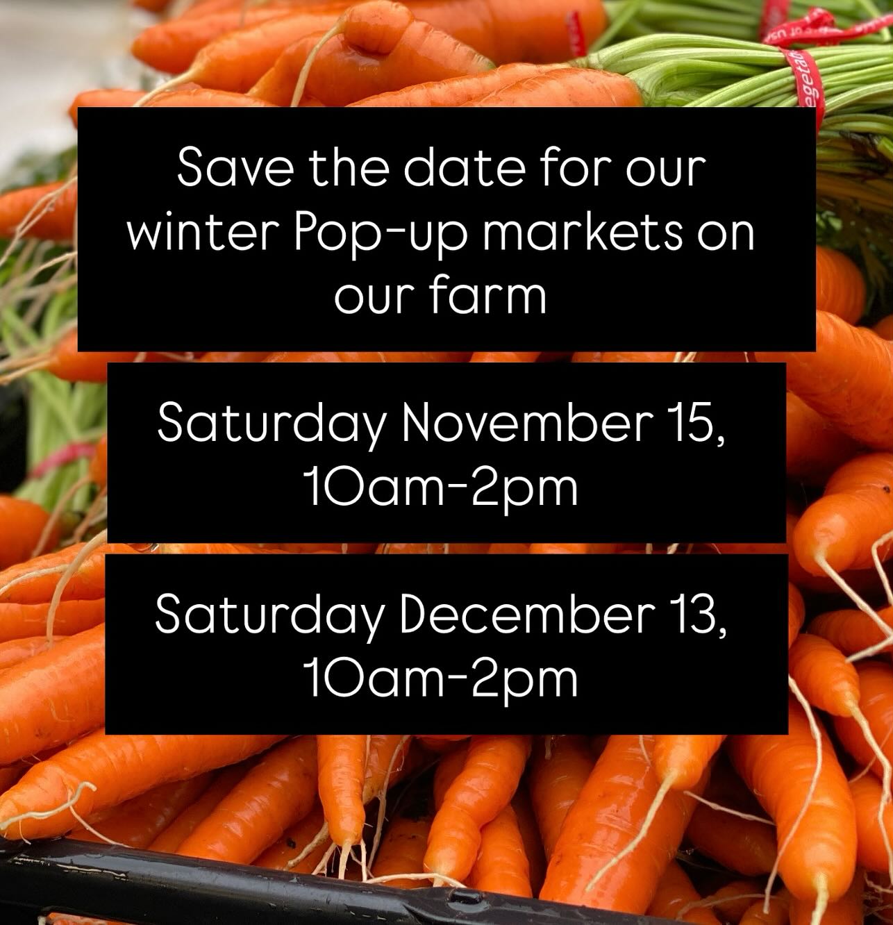 Markets may be closed but you still have two chances to get veggies, ferments, maple syrup and our delicious baked goods this year. Save the dates. Our Pop-up market is covered so the weather doesn’t matter. #sliceofheavenfarm