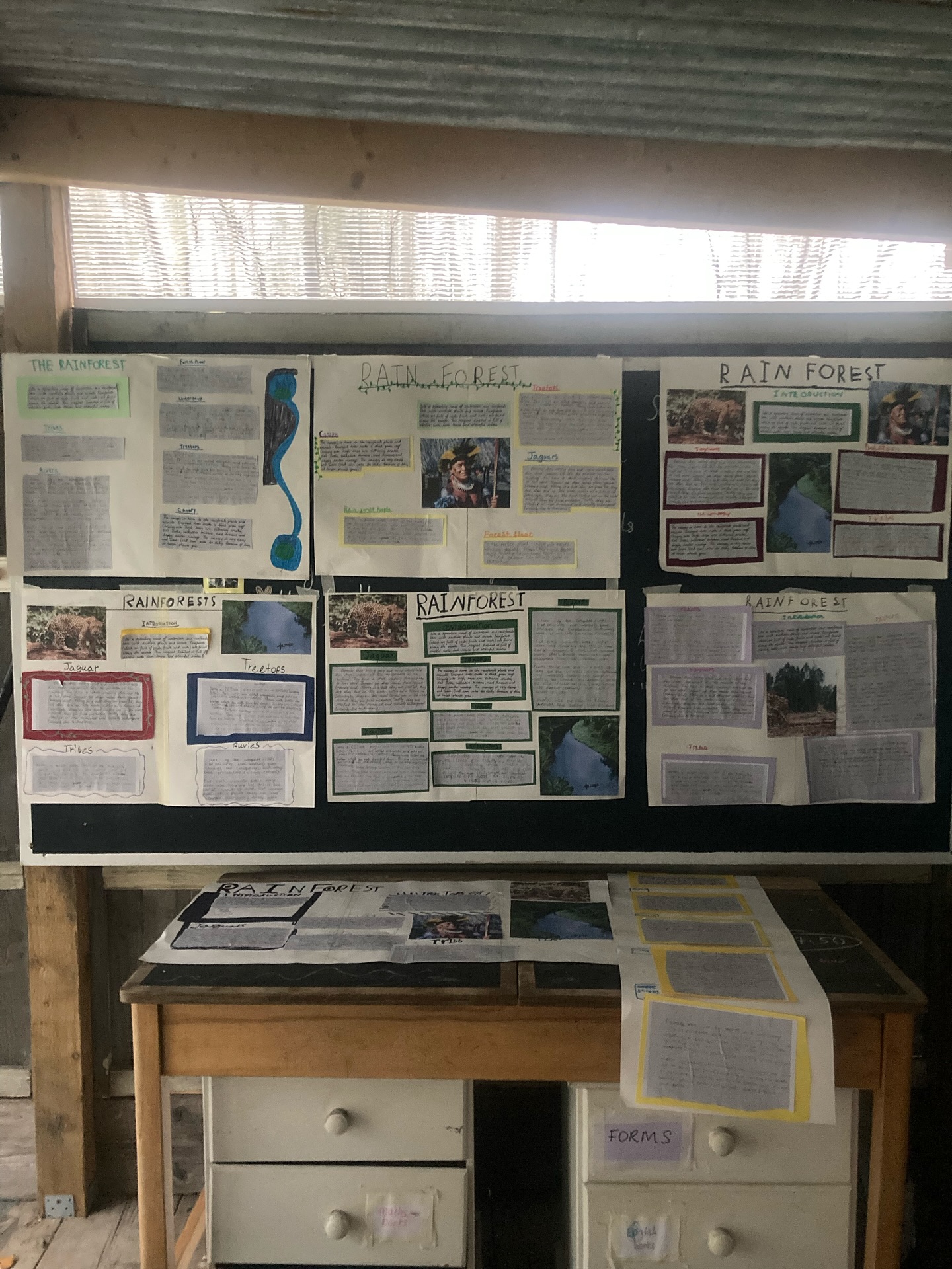 From learning how to research and take notes, through to drafting, editing and publishing - I couldn’t be more proud of how these fantastic information texts worked out!
Today we thought about how layout and presentation helps the reader to make sense of what they’re reading and locate information quickly, before applying this in our own work ❤️👊