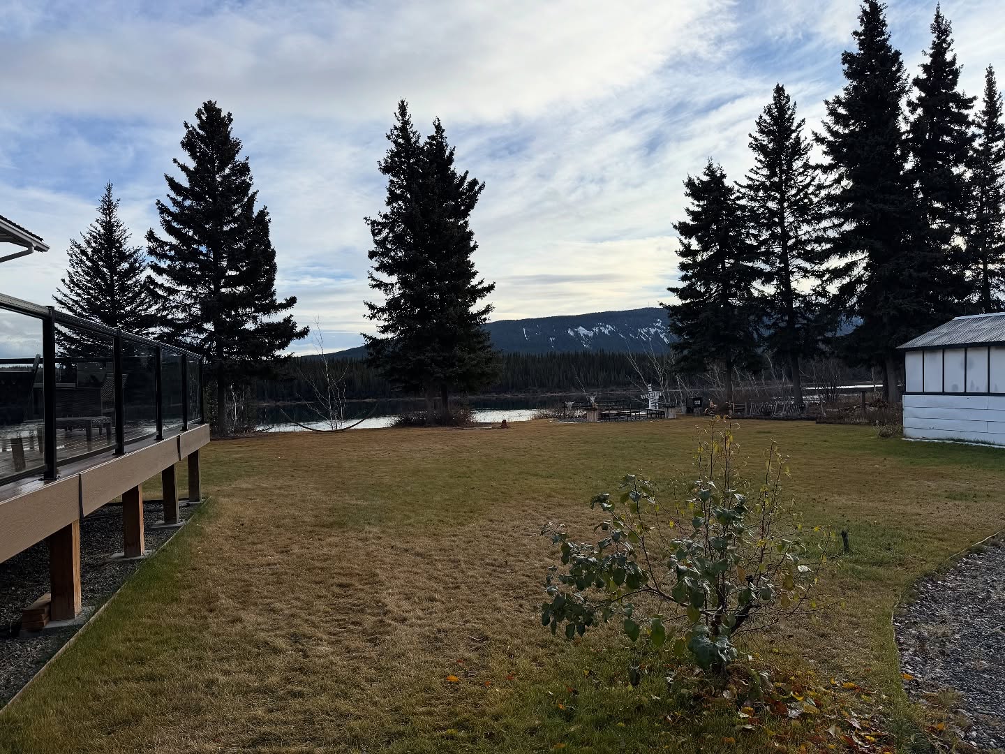 This is the 4th Halloween I remember in my life with no snow. Iām sure there were a couple when we lived in red deer but I donāt remember those few years.
Hunting season ends today, I hope everyone had a great and successful hunting season.
Bison season opens tomorrow!