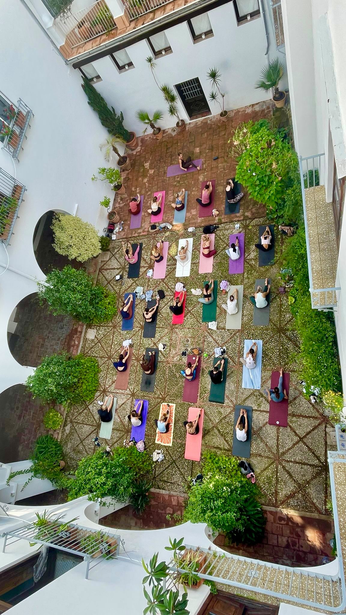 🧘♀️✨ Yoga en Lastrellas x Museo L’Iber ✨🧘♀️
¡Empezamos Museum Yoga este domingo a las 11:00!
Una clase dinámica de Power Yoga, rodeados de arte e historia.
💫 Abierto a todos los niveles
💫 Precio: 10 € (a pagar en efectivo)
💫 Trae tu propia esterilla
💫 Solo quedan 10 últimas plazas disponibles — ¡reserva la tuya online!
Ven a vivir una experiencia única de movimiento, energía y conexión.
#YogaEnLasTrellas #MuseoLIber #PowerYoga #YogaValencia #Wellness #ArteYMovimiento