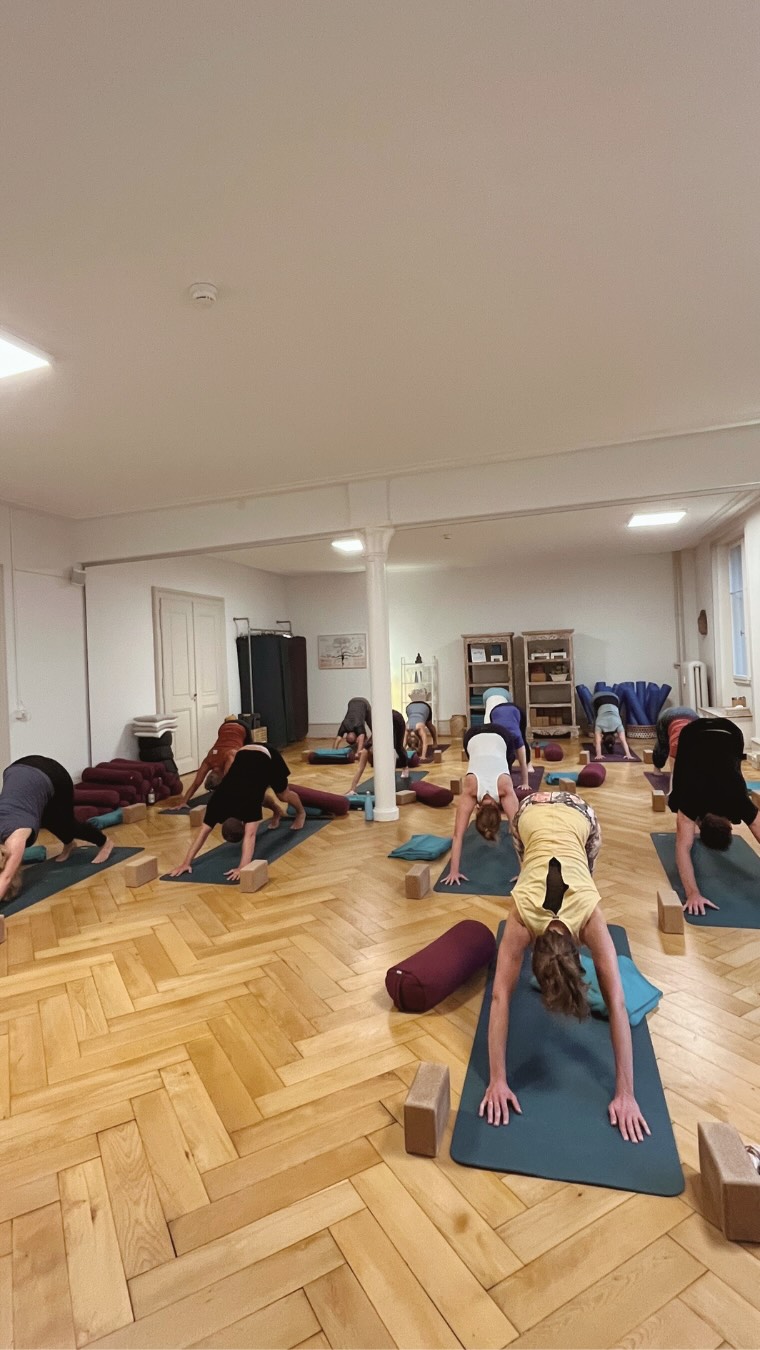 3 beautiful workshops are coming up at Anjali, each one a chance to reconnect and go deeper into your practice. ✨
Find the one that speaks to you & book your spot !
Link in bio - spaces are limited!
✨😍
#yogabasel #basel