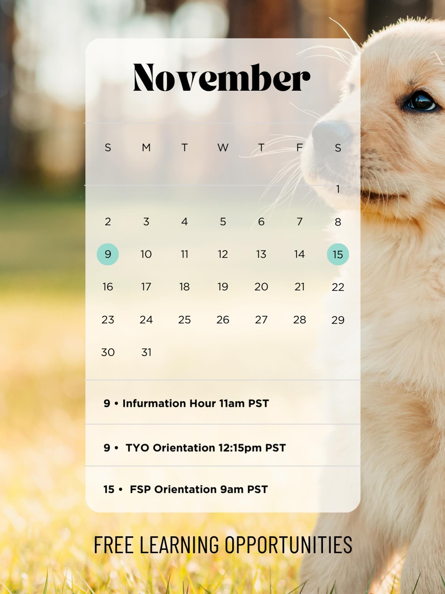 November Learning Lineup 🐾
Join our free Zoom sessions to learn, ask questions, and explore the world of service dogs! 🦮 Created to educate, inform, and support anyone exploring a service dog for themselves or a loved one.
✨ Links to sign up are in our bio.