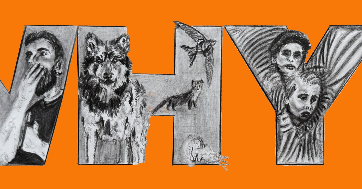 November News from the Studio… newsletter out now!
