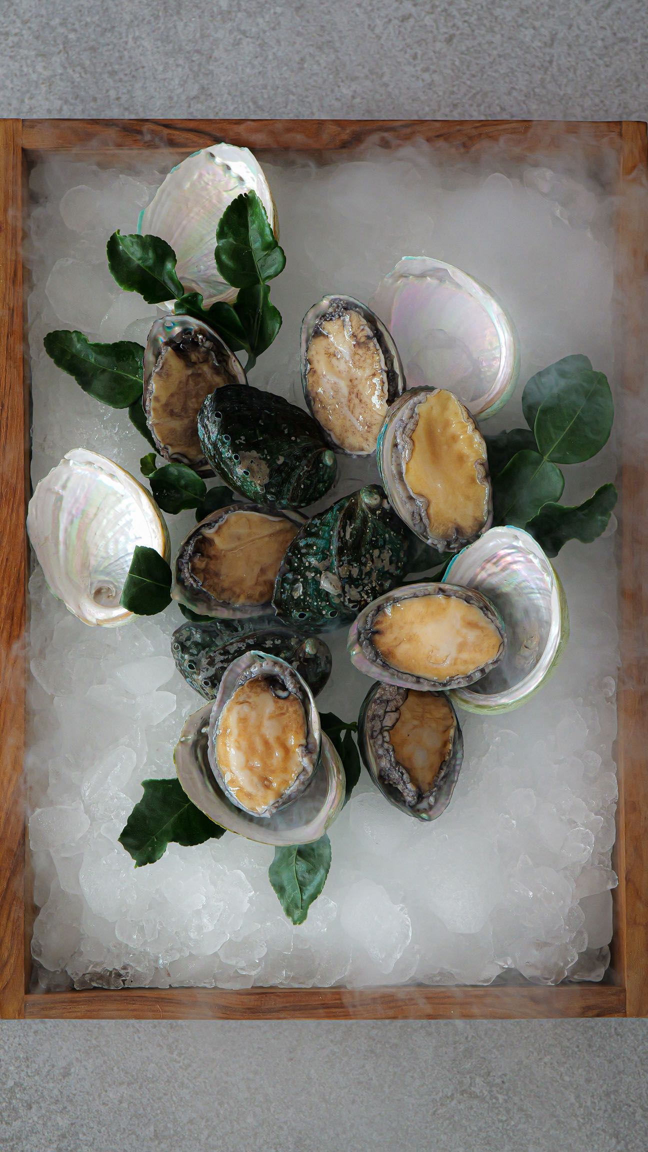 Some flavors don’t need to be loud to be unforgettable.
They just need to be true.
Freshness. Precision. Harmony — on the shore.
#LAromeByTheSea #FineDiningExperience #foodtok #reelsfood #Phuket