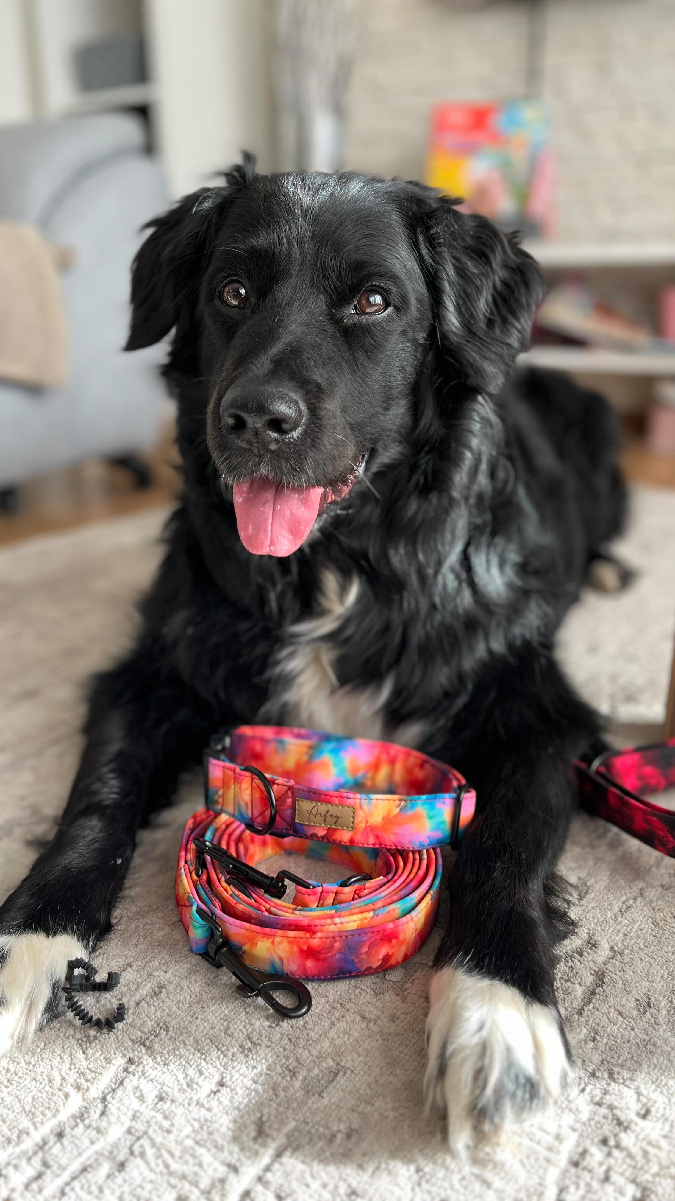 Kamarádi, kdo mě sleduje, tak ví, že spolupráce spis navazuji s našimi produkty než naopak 🖤 a tak byl čas udělat jednou změnu! 😂
@arfey.cz spousty z Vás jednoznačně zná, ja sama je sleduji již několik let a tak když přišla nabídka spolupráce - s radostí jsem kývla. Přeci jen máme doma v psím šatníku už pár let stejné kousky a náš dědula si zaslouží držet krok s módou! 😂
Jelikož je Apollo reaktivní, potřebuji mít nad ním opravdu kontrolu. Takže zvolit polostahovací obojek bylo jasné jak facka, zvítězila kolekce MAGENTA VELVET MARBLE. Jako vodítko jsem vybrala klasické černé pro možnou kombinaci se zbytkem “arsenálu”.
Druhá kombinace zvítězila trošku výraznější sada COLOR DUST, obojek i vodítko. Ač je spona na obojku plastová, je jednoznačně pohodlnější než kovová, je pevná a praktická.
Rozbalování proběhlo na jedničku, přežila to i krabice i produkty! 😂 a já se těším, až všechno vytáhnu odpoledne ven a vyzkouším v praxi. Určitě sledujte ještě upgrade z venčení! ❤️
❤️ A pro naše sledující, aby jste mohli nakoupit třeba podobně jako my, nebo rovnou pod stromeček, máme kód s heslem APOLLO10 ❤️ vanocni objednávky ještě stíhají!
Děkujeme! 🖤🐾
#dogart #psimoda #pesmodel #kvalitniobojek #psivybaveni #psiobojek #arfey #nosimarfey #spoluprace #barterspolupráce