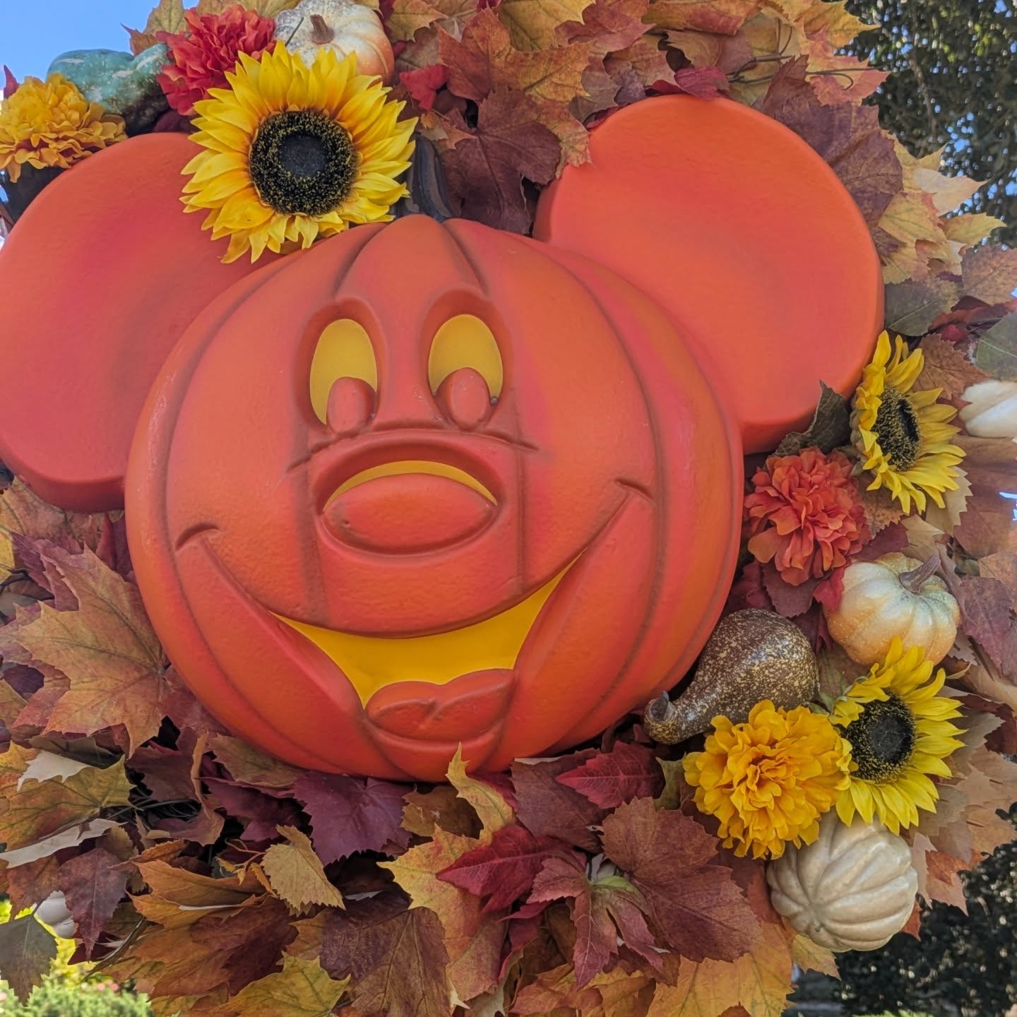 Happy Halloween 👻🎃