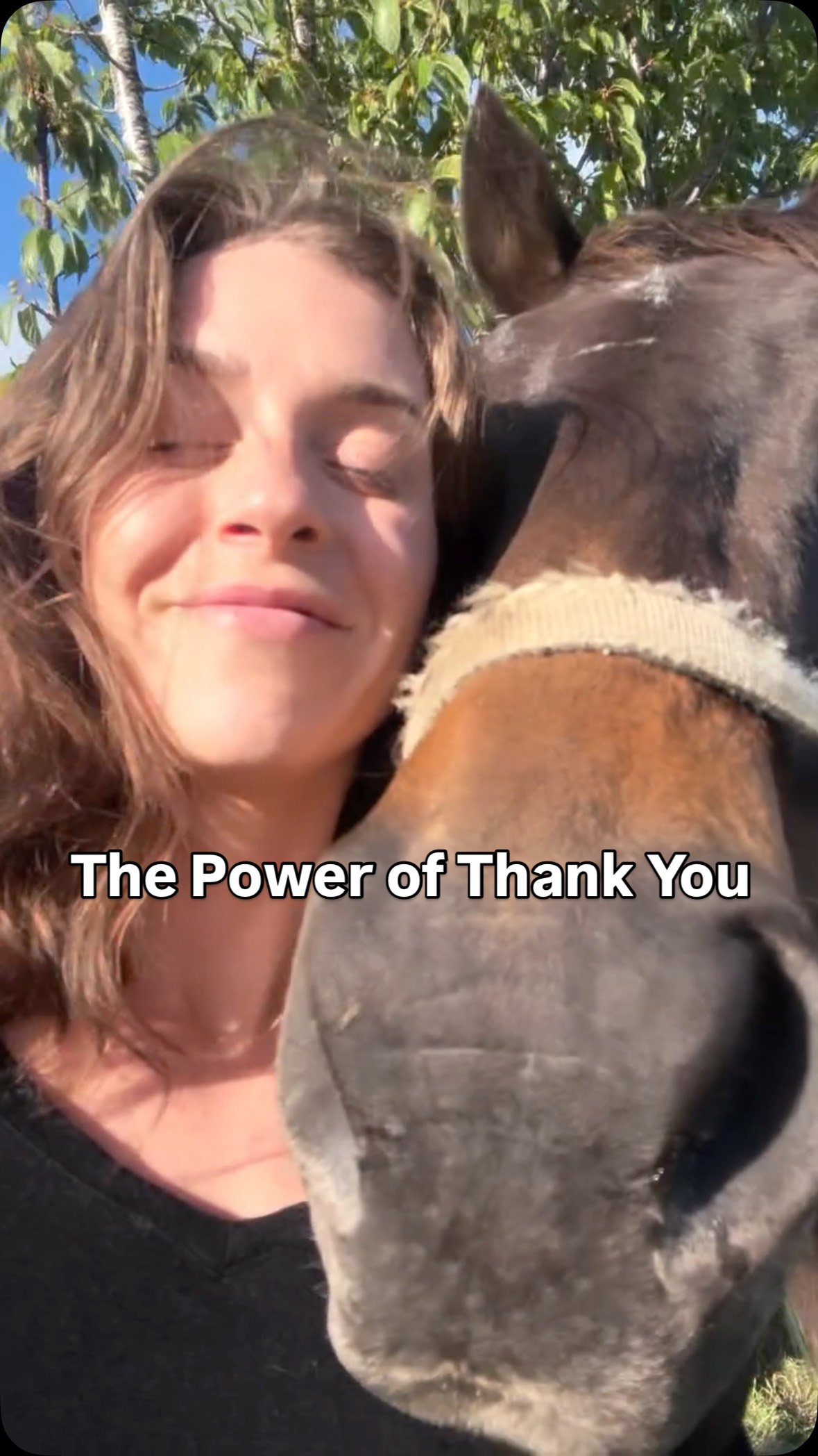 Say it with me, thank you, for it all 🌞❤️🩹🙏🏼🪽
#gratefulheart
#walkbyfaithnotbysight
#bygracethroughfaith
#gratitudechallenge
#simplepleasures
#beautyiseverywhere