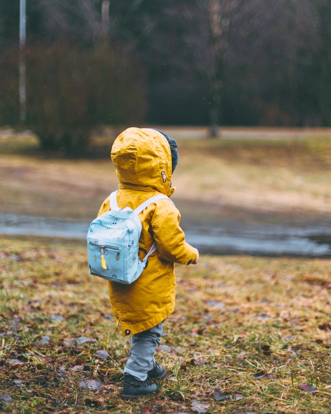 Imagine raising your children in a place where play is safe, adventure is close, and every day feels like a memory in the making 🌿 That’s life at The Avenues Estate.
Reach out to an agent today to book your private viewing!
@harcourts_hilton
📞 Brian Wilkes - 082 417 6166
@pgp_midlands
📞 Bridget Erskine - 082 783 8029
@seeff_midlands
📞 Joan Ridl - 072 022 4484
#FamilyLiving #AdventureAwaits #SafePlay #MemoryMakers #HomeSweetHome #PrivateViewing #RealEstateDreams #TheAvenuesEstate #ChildFriendlyCommunity