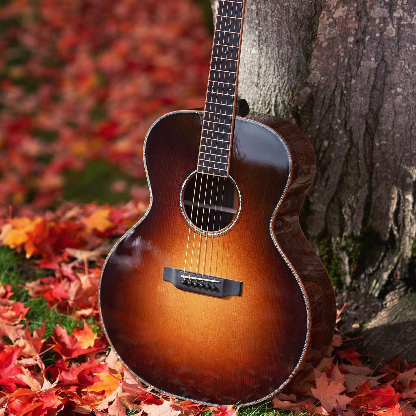 Just gonna turn my profile into seasonally themed photos of this masterpiece.
@rockbridgeguitar SJ
@sony A7RII + 85/1.4GM
#acousticguitar #acoustic #guitarist #musicphotography #custom #lefty #handmade #shotonsony