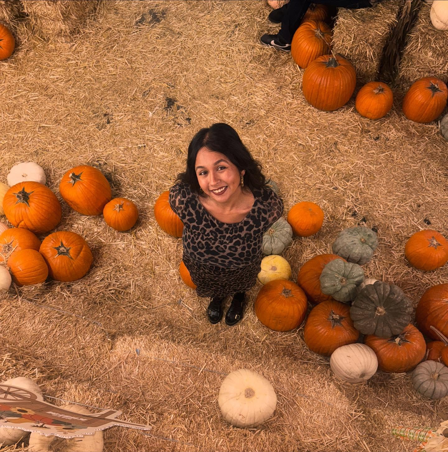 New blog post is up! 🍂✨ -‘The Rotten Parts,’
I get real about tackling old habits and finding growth—sometimes in unexpected places, like the resurrection of my ivy plant.
Also, pumpkin patch adventures with my roomie made for the perfect backdrop to reflect on the season of change (and spooky vibes 🎃). Link in bio but also here too https://www.livinglikelexi.blog/
#blog #bloggers #blogpost #selfhelp #recovery #sobriety #habits #badhabits