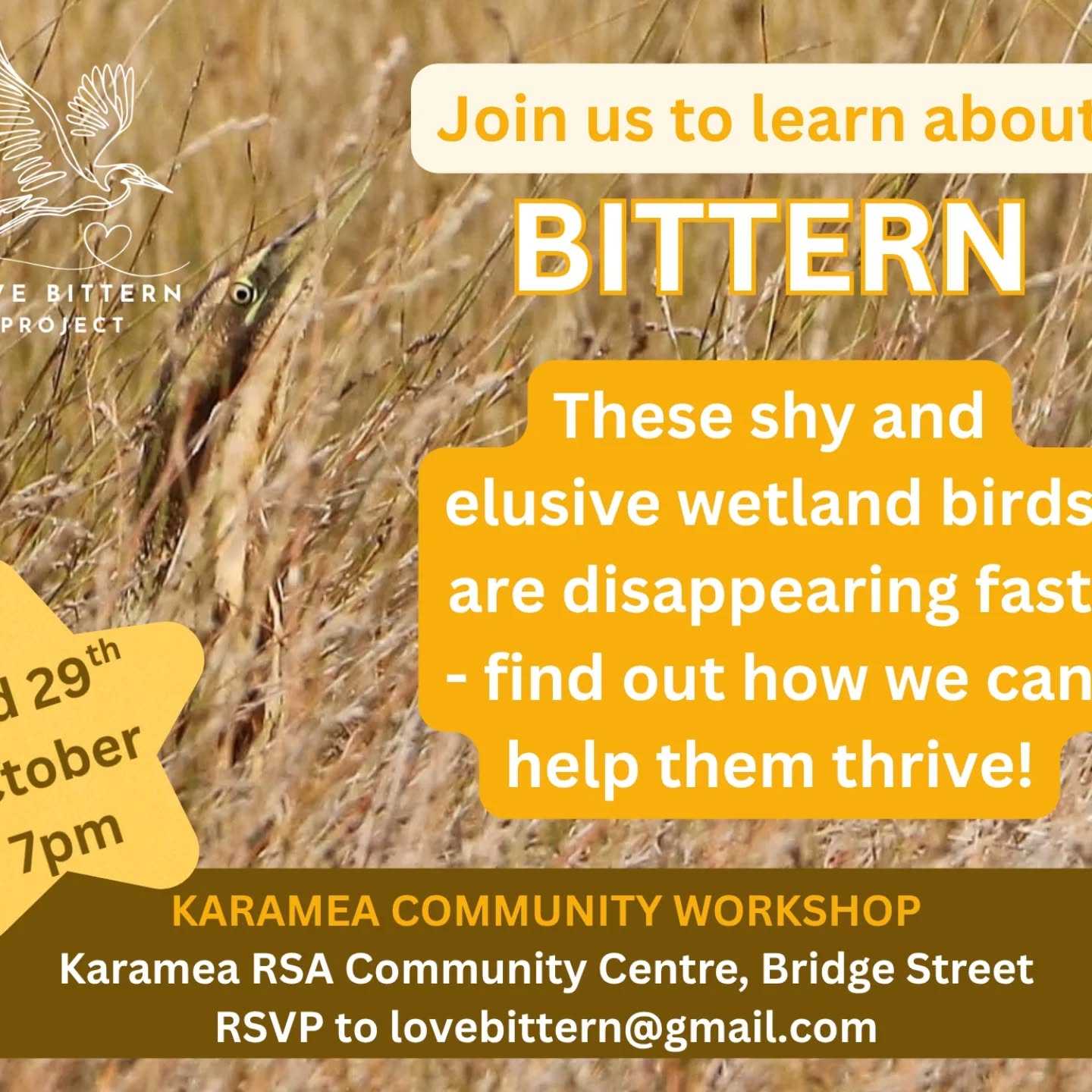 If your in Karamea, Join us at the RSA tomorrow night to talk about our precious Bitterns. 7pm Wednesday 29th.