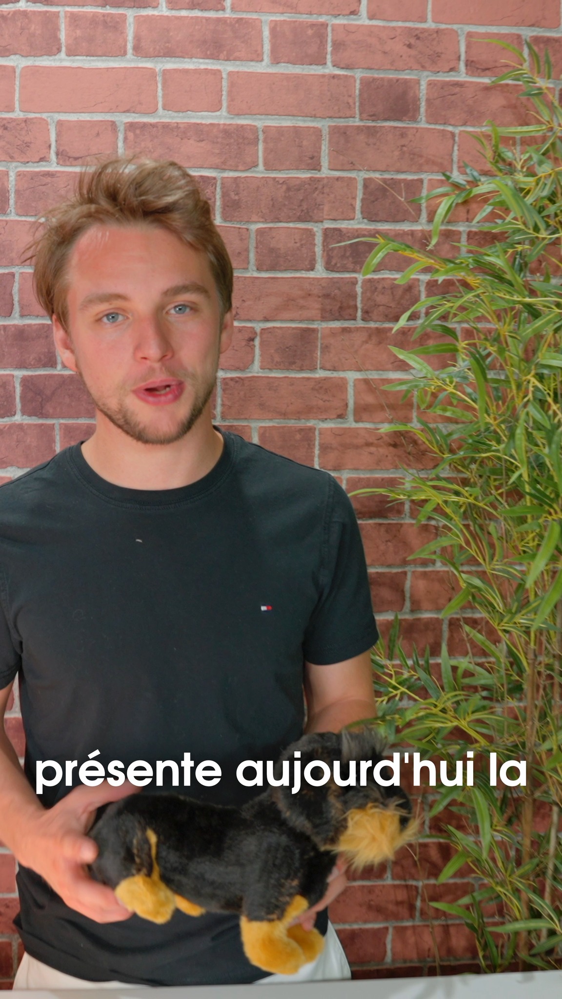 Douceur, tendresse et réconfort
avec la peluche "Teckel"🐕
Un compagnon idéal pour petits et grands, toujours
prêt à partager vos moments. ✨
À câliner sans modération !
👉Notre site : lecomptoirdesauthentics.com
#peluche #doudou #cadeau #madeinfrance
