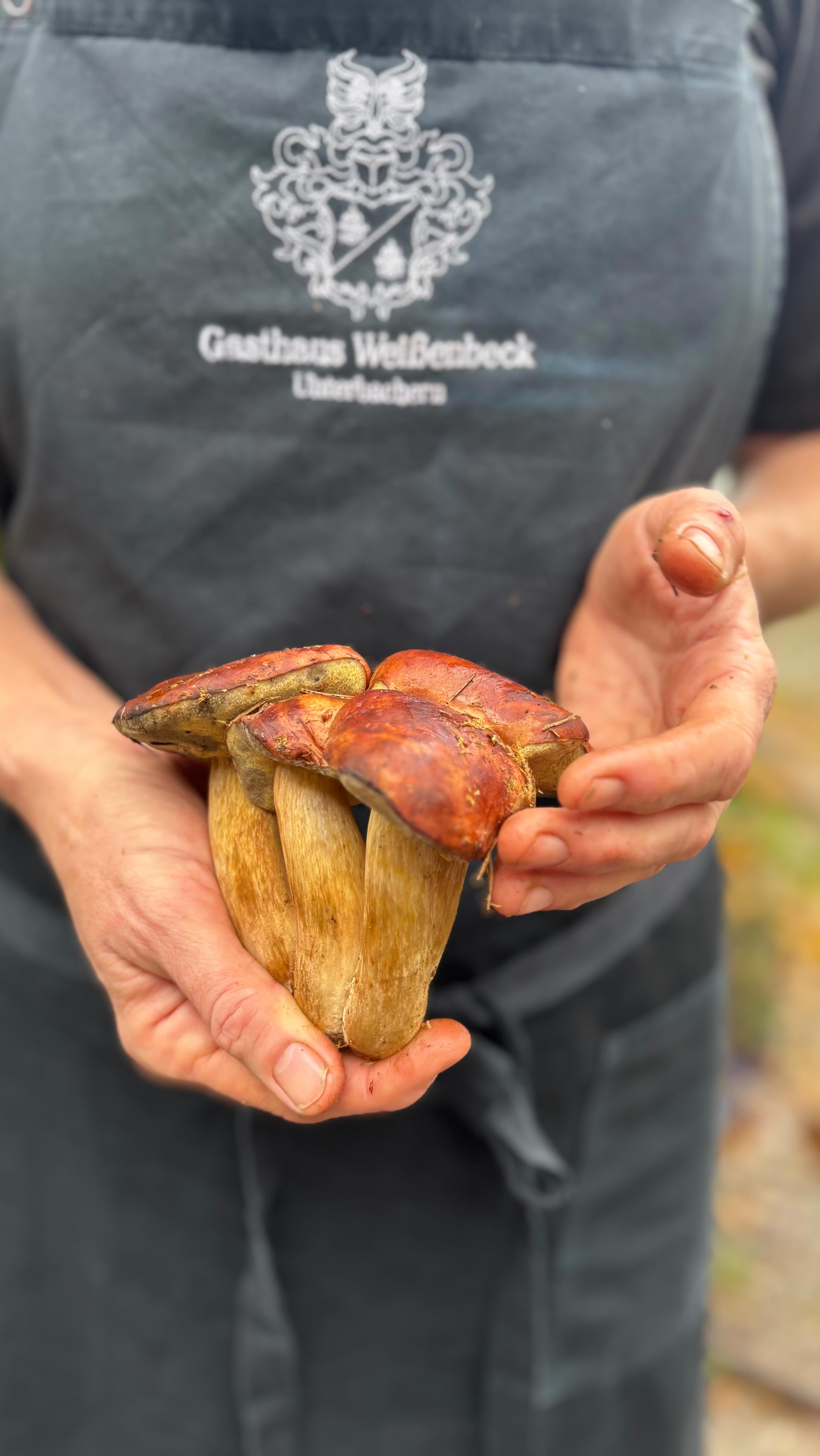 Ein kleiner Morgenspaziergang…
Mit reicher Ausbeute. Heute ganz frische wunderschöne Maronerl
#einfachgut #dassindwir #bayrischeküche #landgasthaus #regional #regionaleküche #saisonaleküche #hausgemacht #dachau #waldspaziergang #waldpilze #herbst #herbstküche #herbstspaziergang #pilzezeit