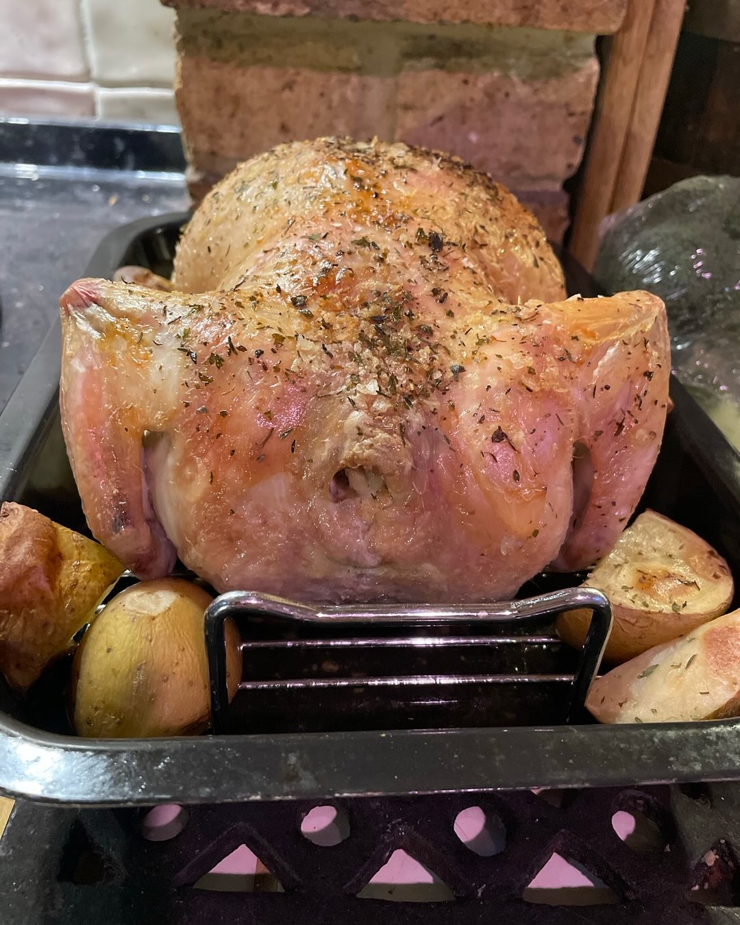 Happy 7th Birthday Phoebe! She celebrated last night with a chicken roast dinner (minus the stuffing with onions & garlic), and enjoyed it with her children. What a treat! ❤️❤️