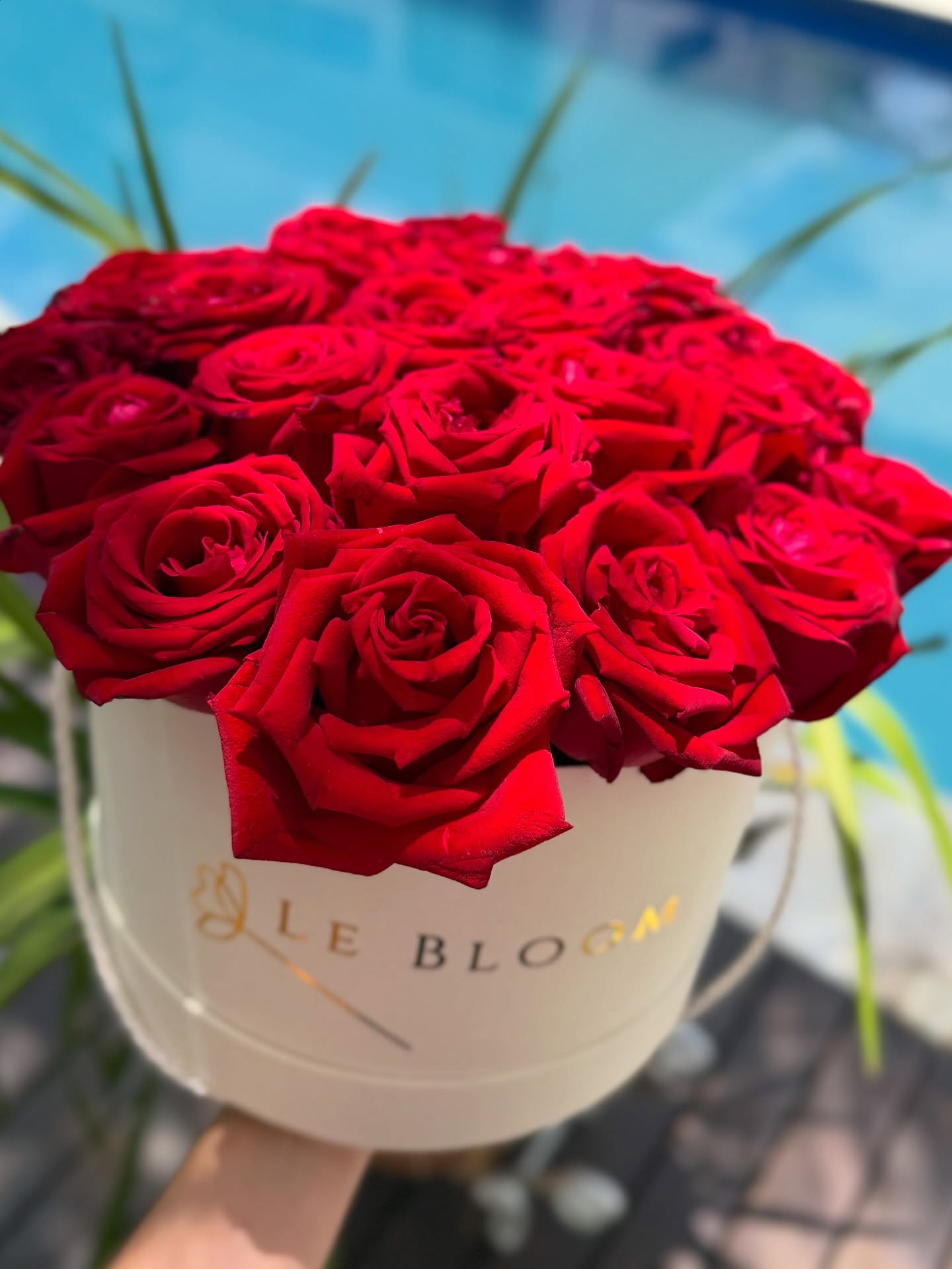 Box de rosas vermelhas 🌹 para uma noiva que sonhava com esse presente no seu grande dia!
Que alegria em podermos fazer parte de momentos tão importantes como esse, o grande dia de um casal!
Saber que conseguimos realizar o desejo de uma noiva nos enche de amor ❤️
Obrigada ao noivo Leonardo pela confiança e a assessora Dri que nos indicou para essa missão especial.
— E se você também quer surpreender quem você ama, conte com a Le Bloom. ✨